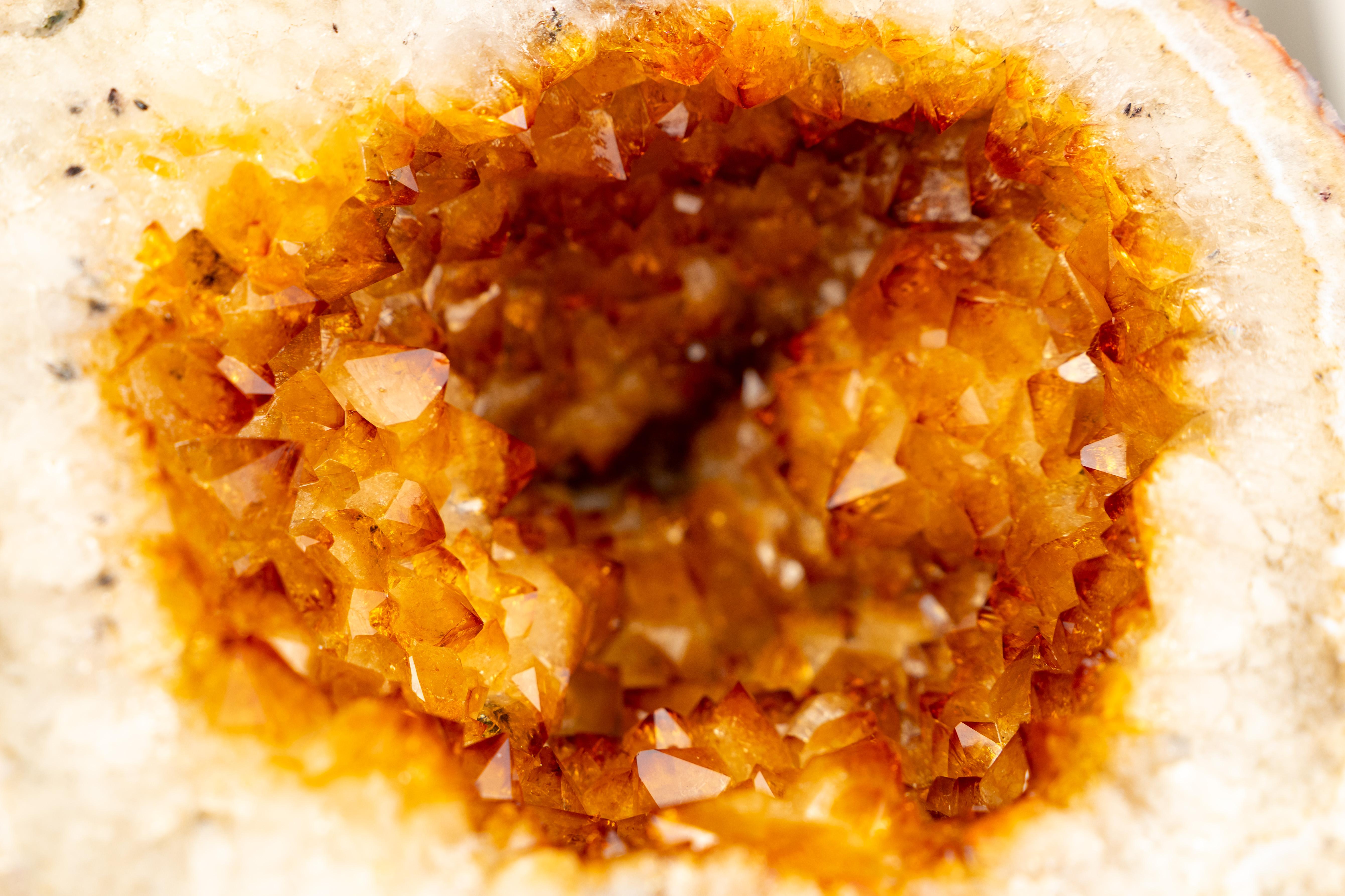 Seltene natürliche Citrin-Geode mit gold-orangefarbenem Druzy und Blumenrosetten im Angebot 6