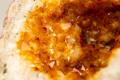 Rara grotta di geodi di citrino naturale con rosette di fiori e druzy arancione dorato