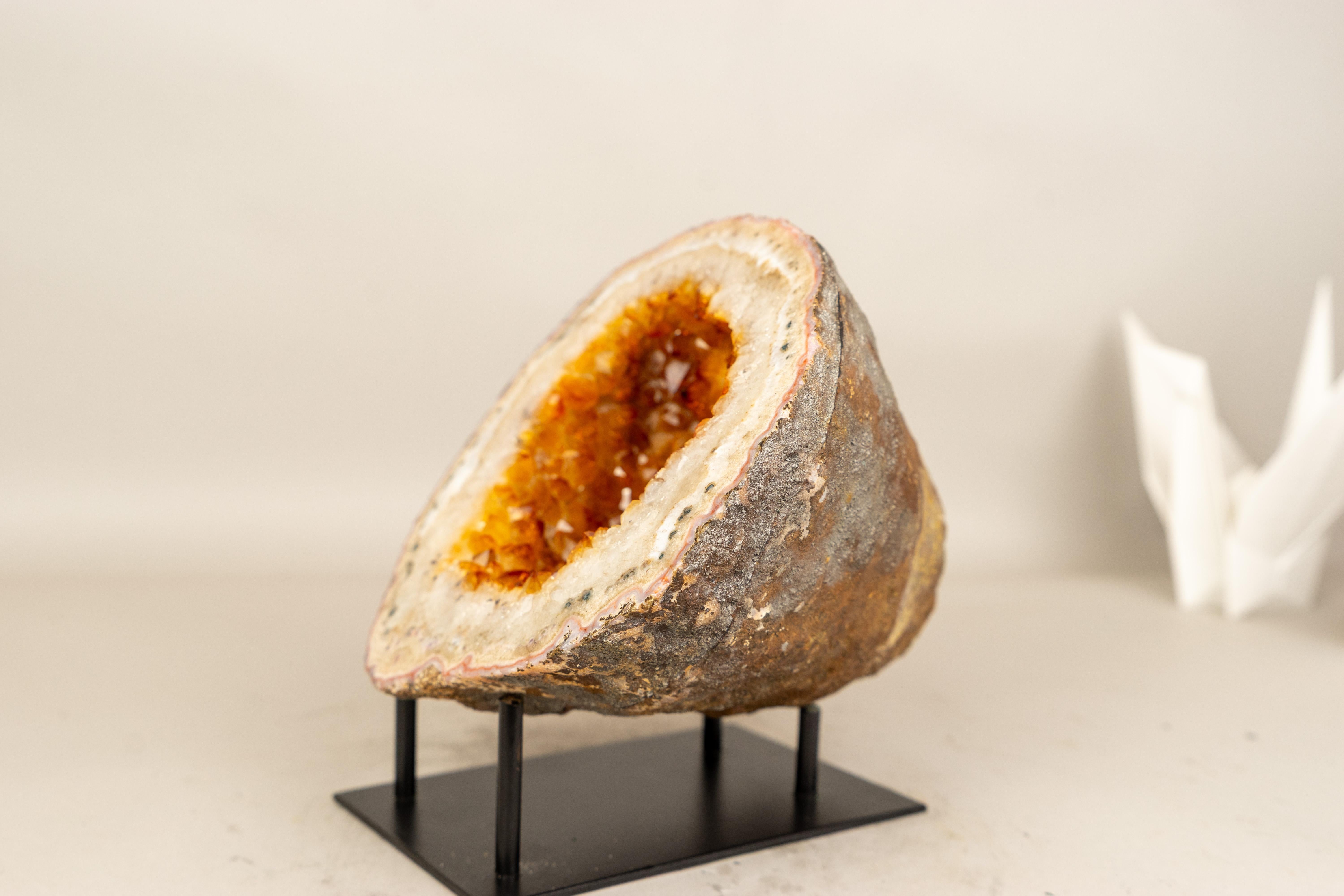Seltene natürliche Citrin-Geode mit gold-orangefarbenem Druzy und Blumenrosetten (Brasilianisch) im Angebot