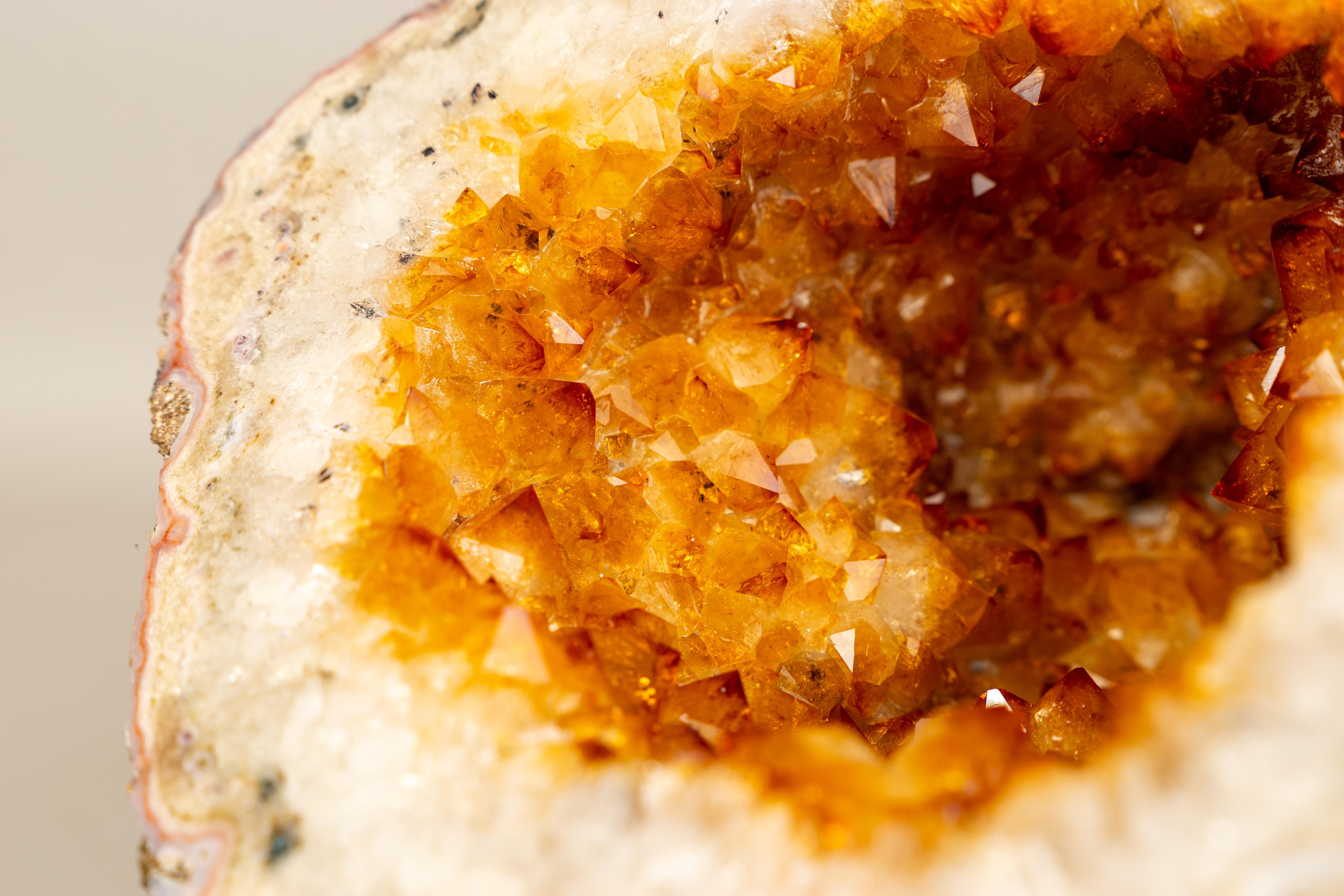 Seltene natürliche Citrin-Geode mit gold-orangefarbenem Druzy und Blumenrosetten (21. Jahrhundert und zeitgenössisch) im Angebot
