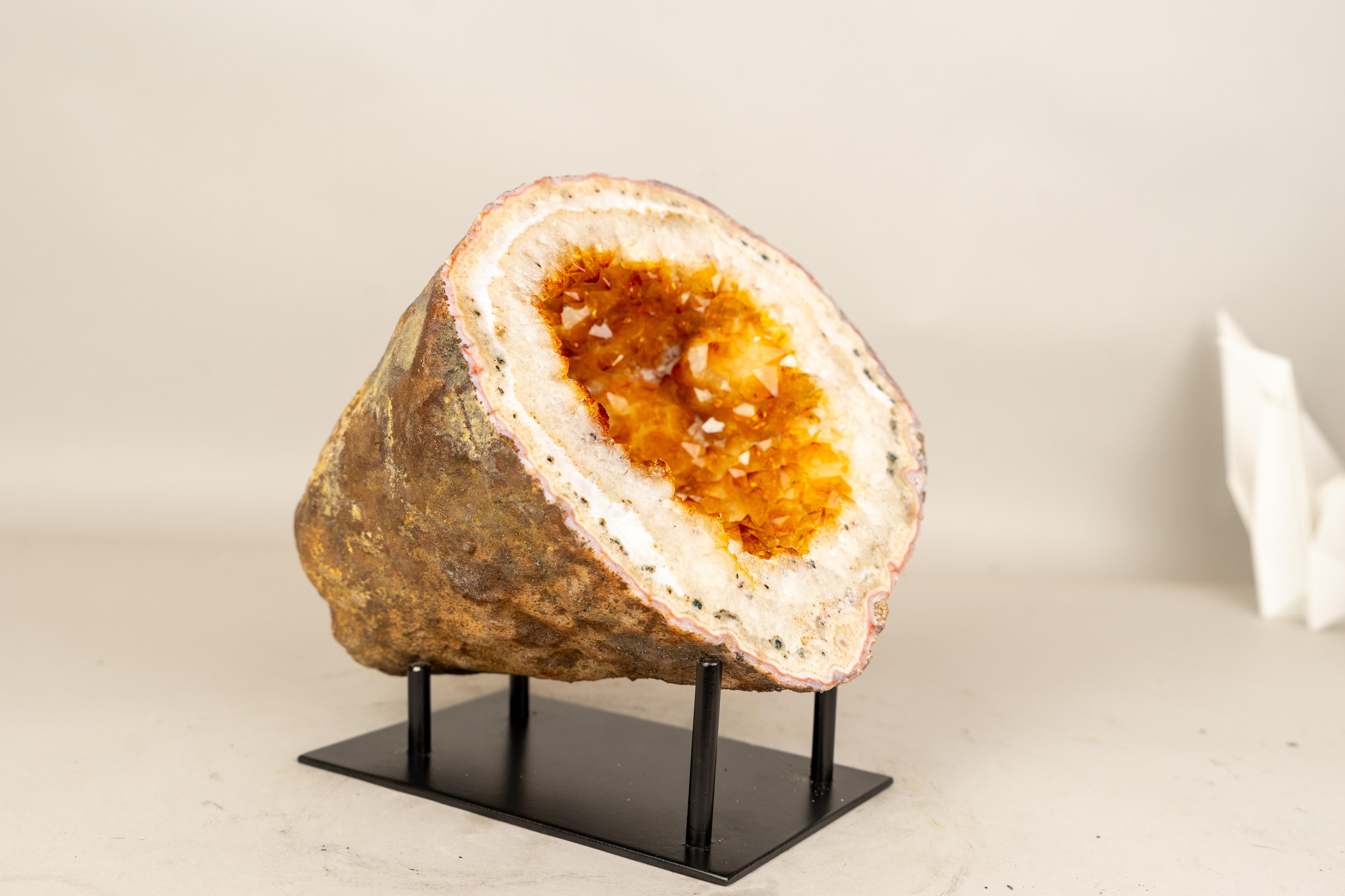 Seltene natürliche Citrin-Geode mit gold-orangefarbenem Druzy und Blumenrosetten (Kristall) im Angebot