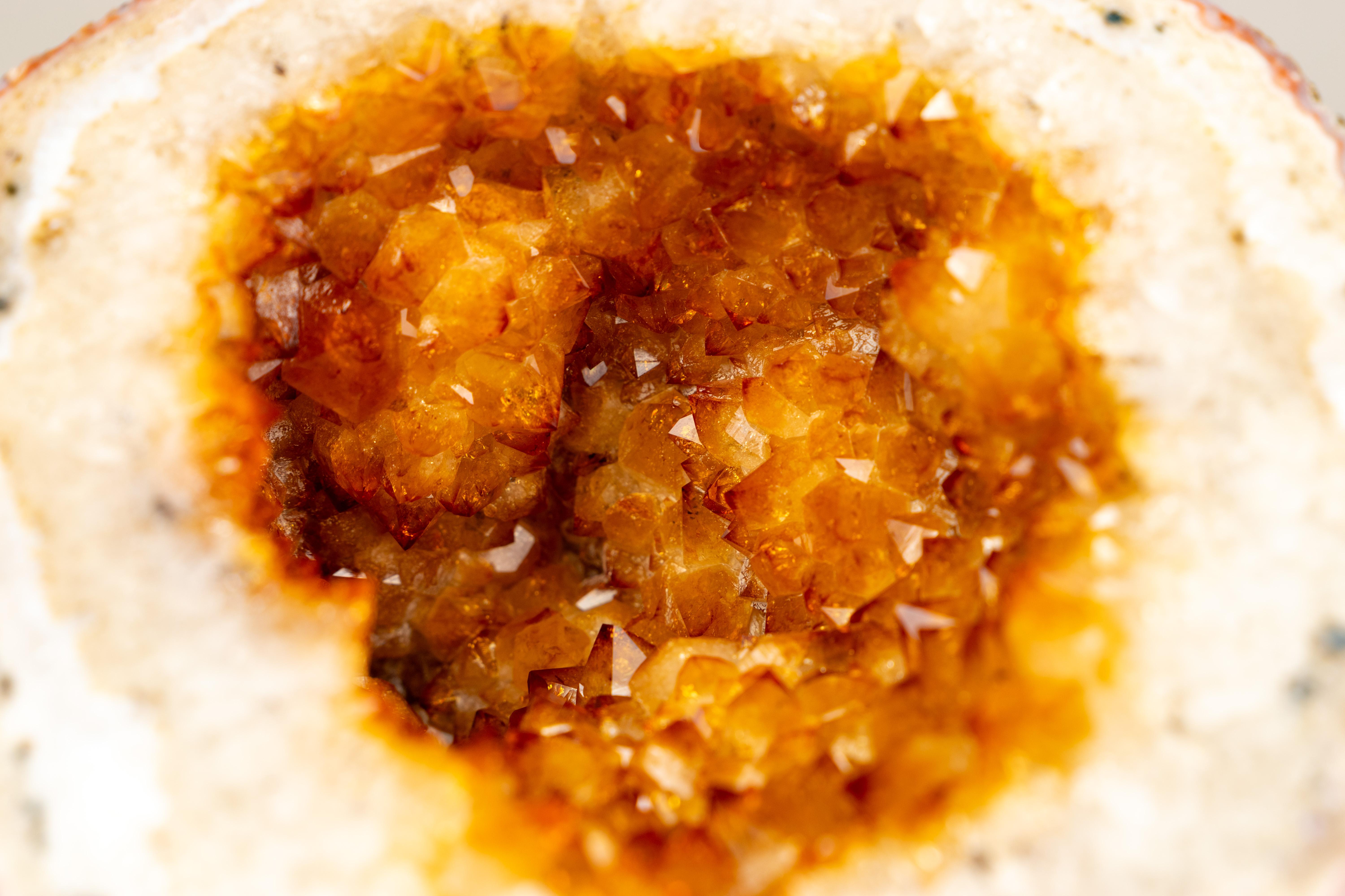 Seltene natürliche Citrin-Geode mit gold-orangefarbenem Druzy und Blumenrosetten im Angebot 1