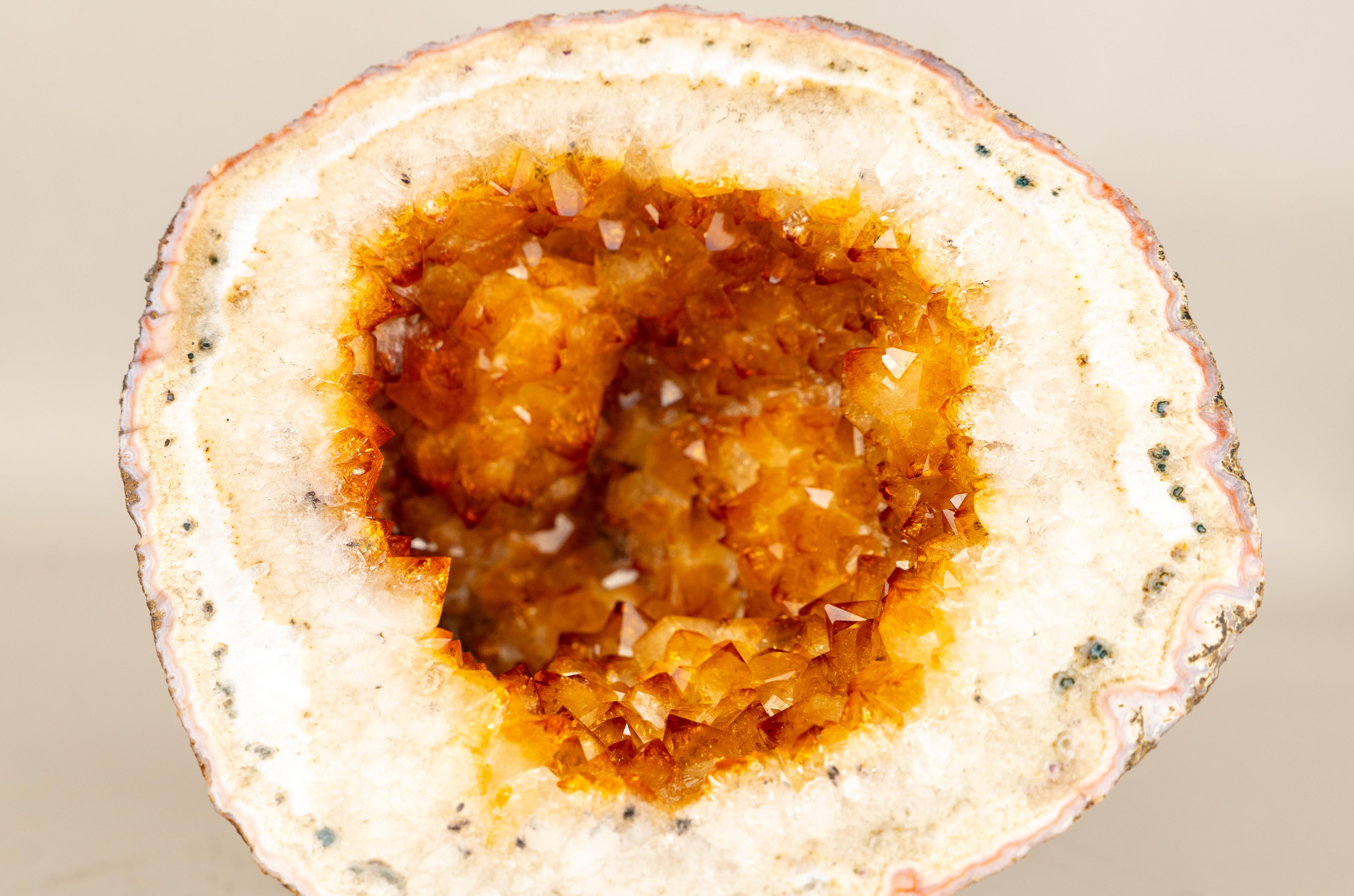 Seltene natürliche Citrin-Geode mit gold-orangefarbenem Druzy und Blumenrosetten im Angebot 2