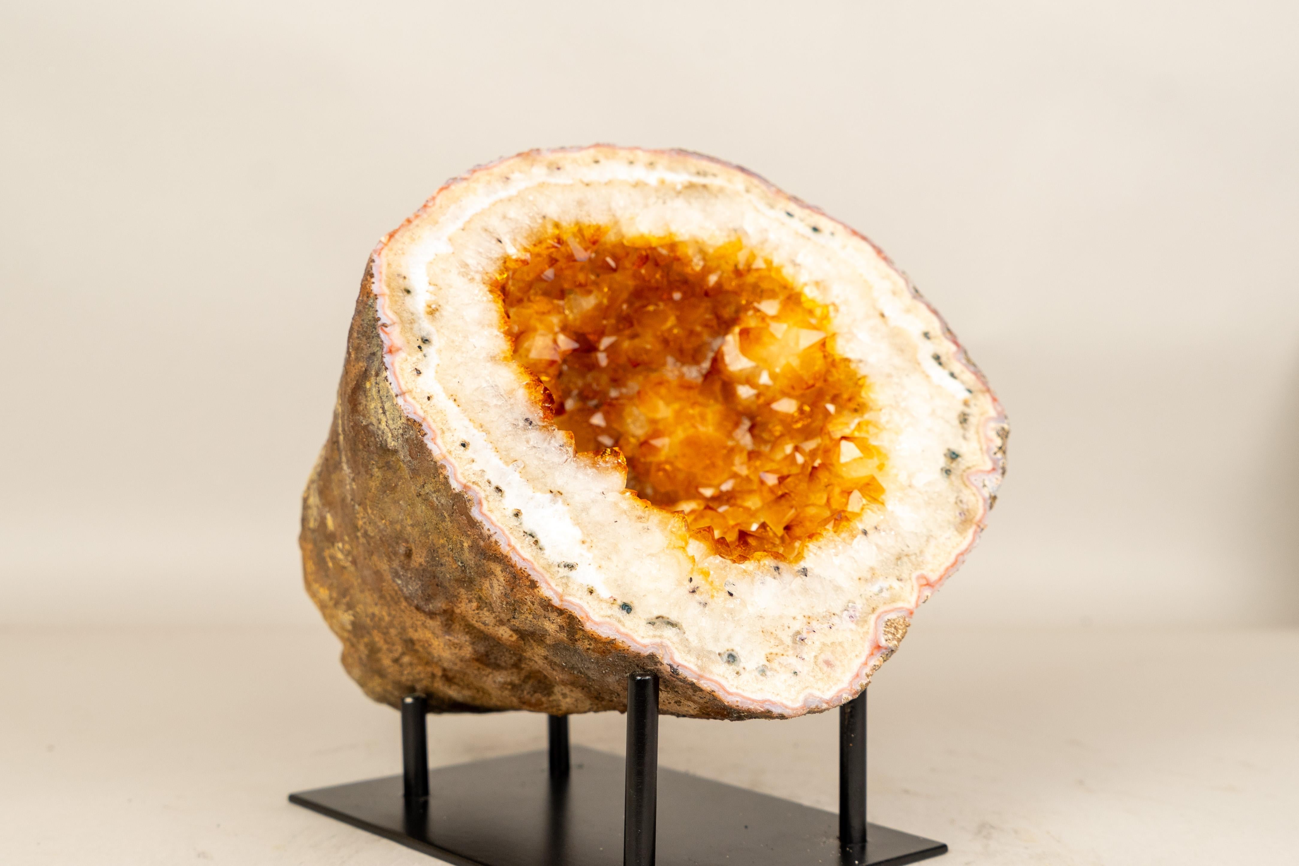 Seltene natürliche Citrin-Geode mit gold-orangefarbenem Druzy und Blumenrosetten im Angebot 3