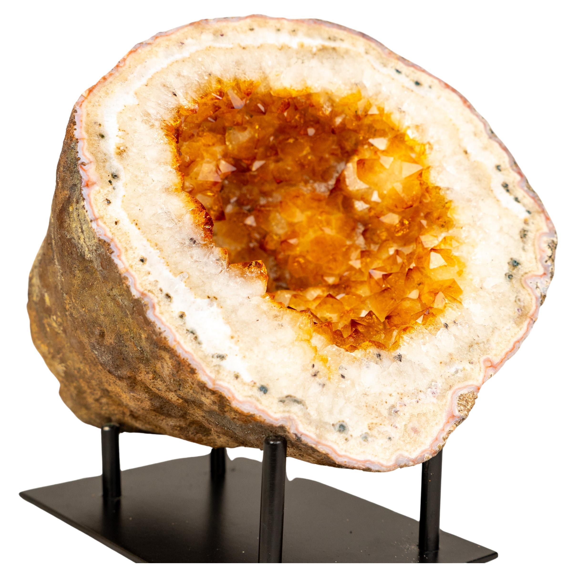 Rare Natural Citrine Geode Cave with Golden-Orange Druzy & Flower Rosettes