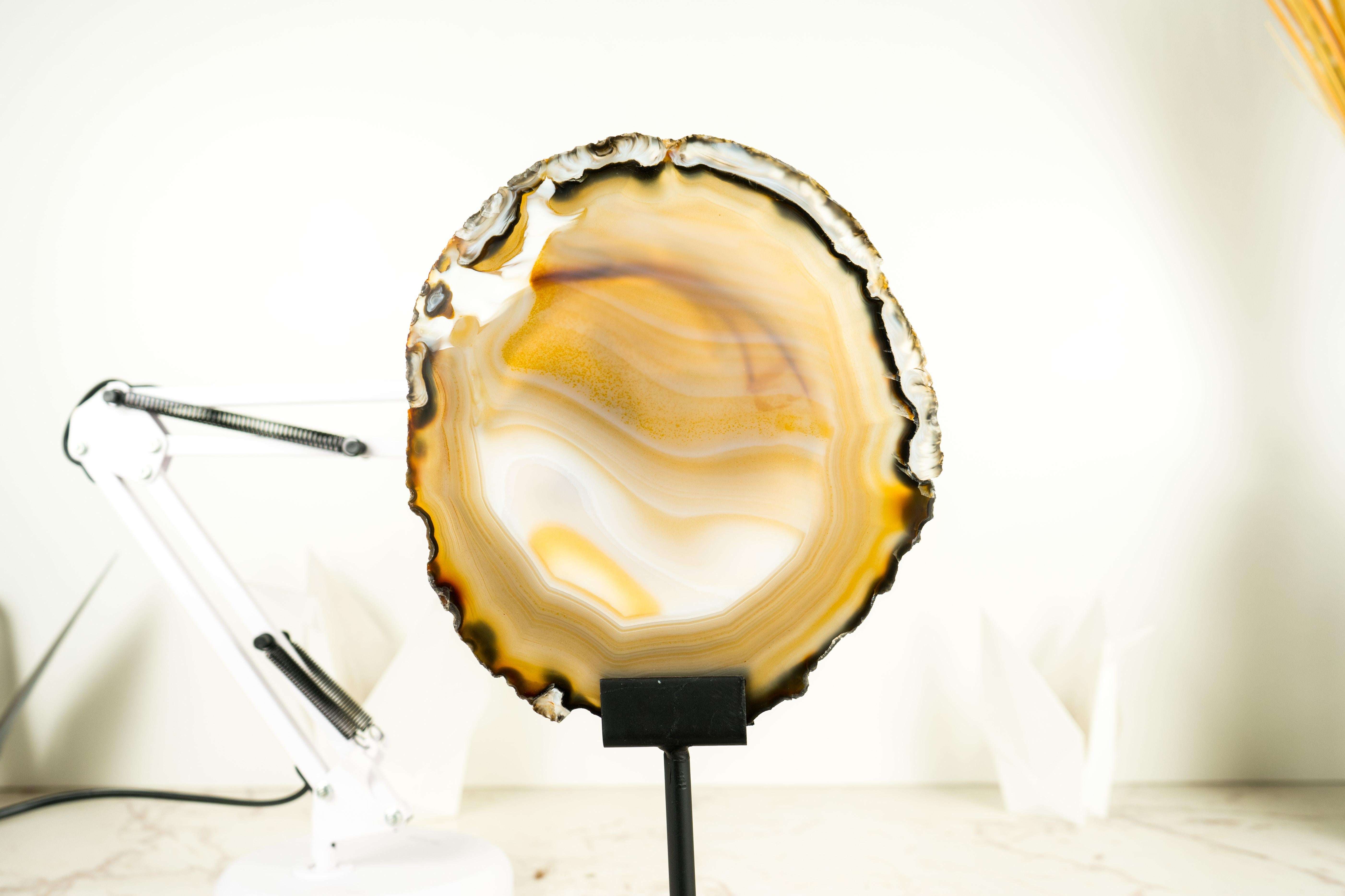 Rare Natural Golden Lace Agate Slice with Swirls and Black Agate Lines  For Sale 6