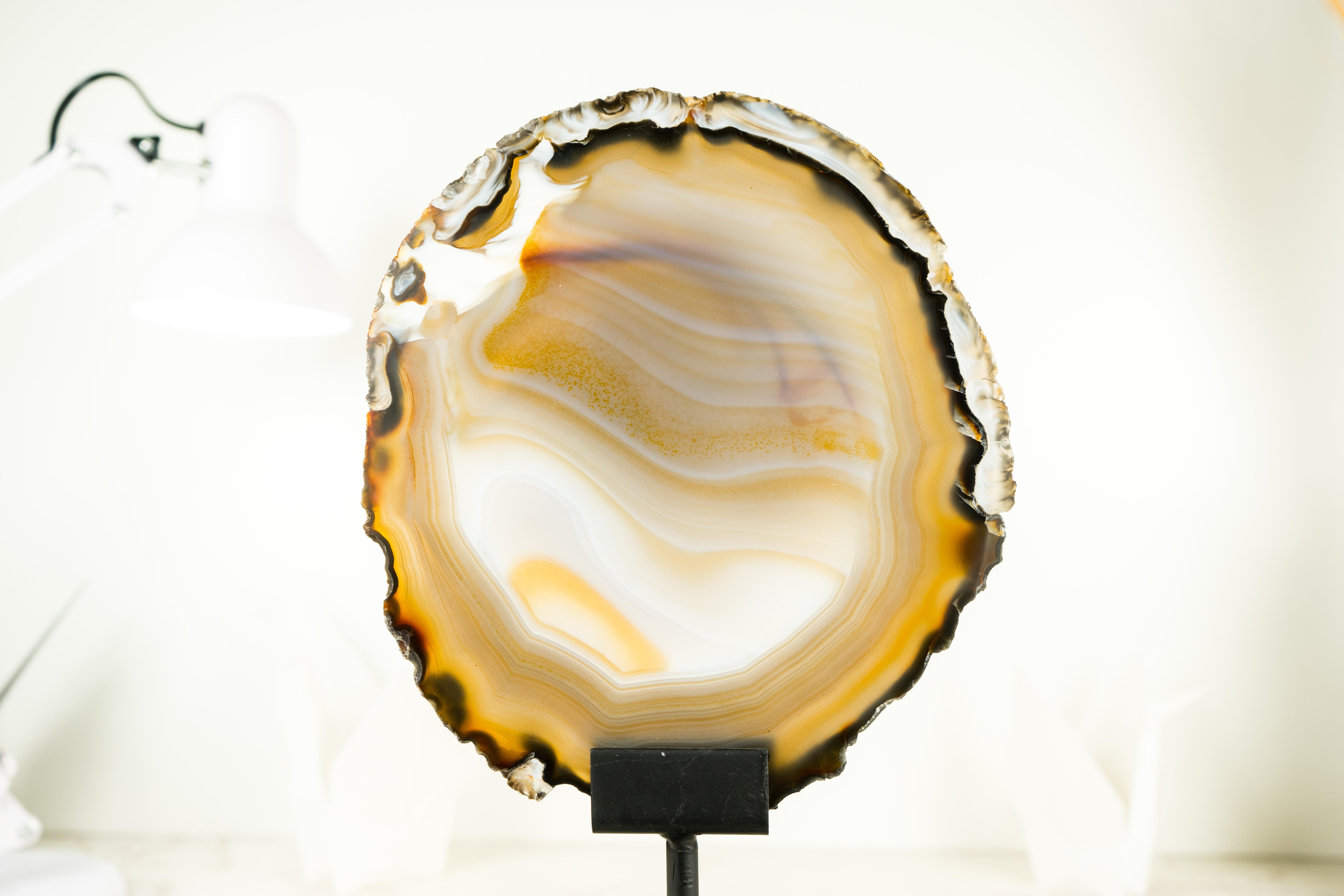 Rare Natural Golden Lace Agate Slice with Swirls and Black Agate Lines  In Distressed Condition For Sale In Ametista Do Sul, BR