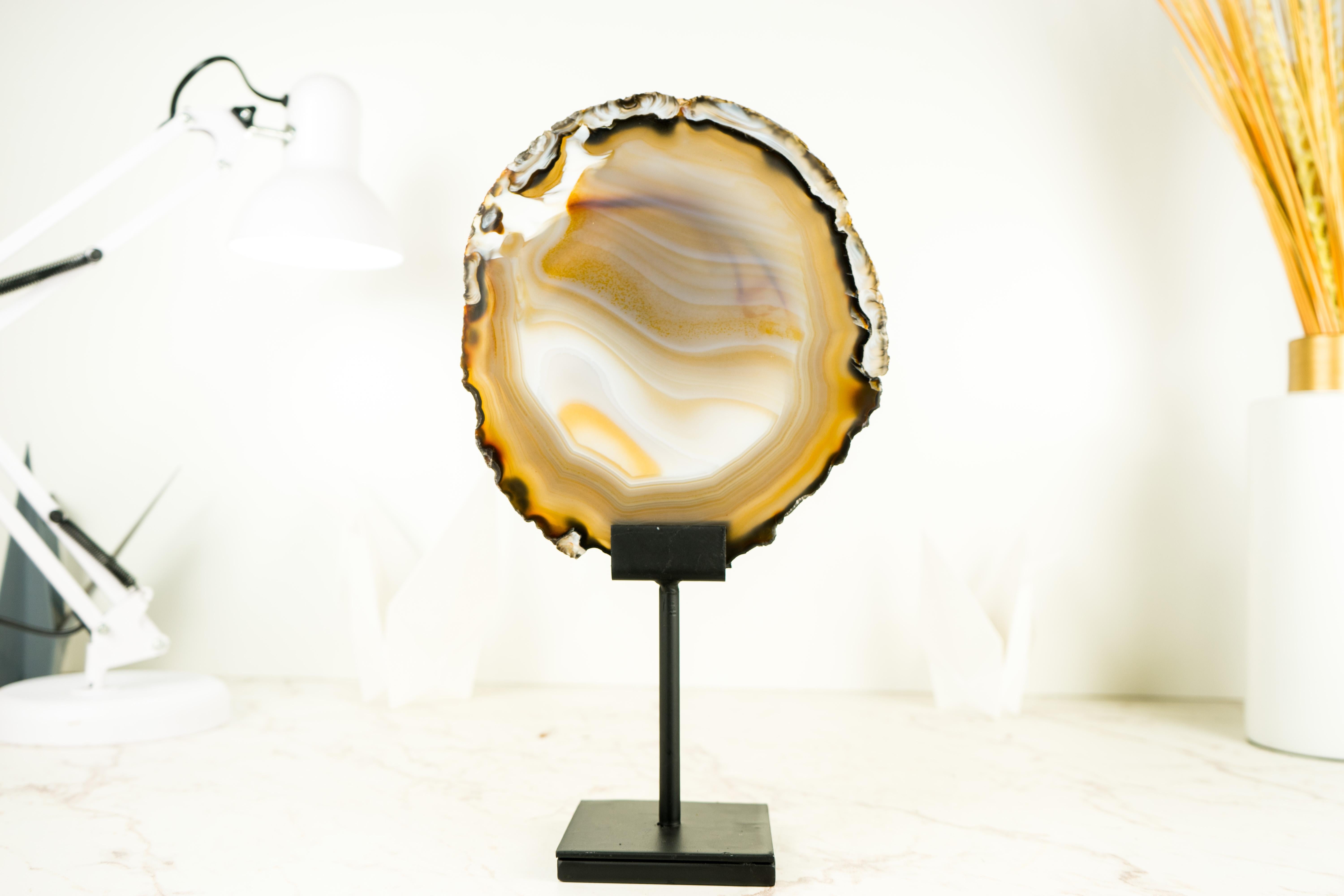Contemporary Rare Natural Golden Lace Agate Slice with Swirls and Black Agate Lines  For Sale
