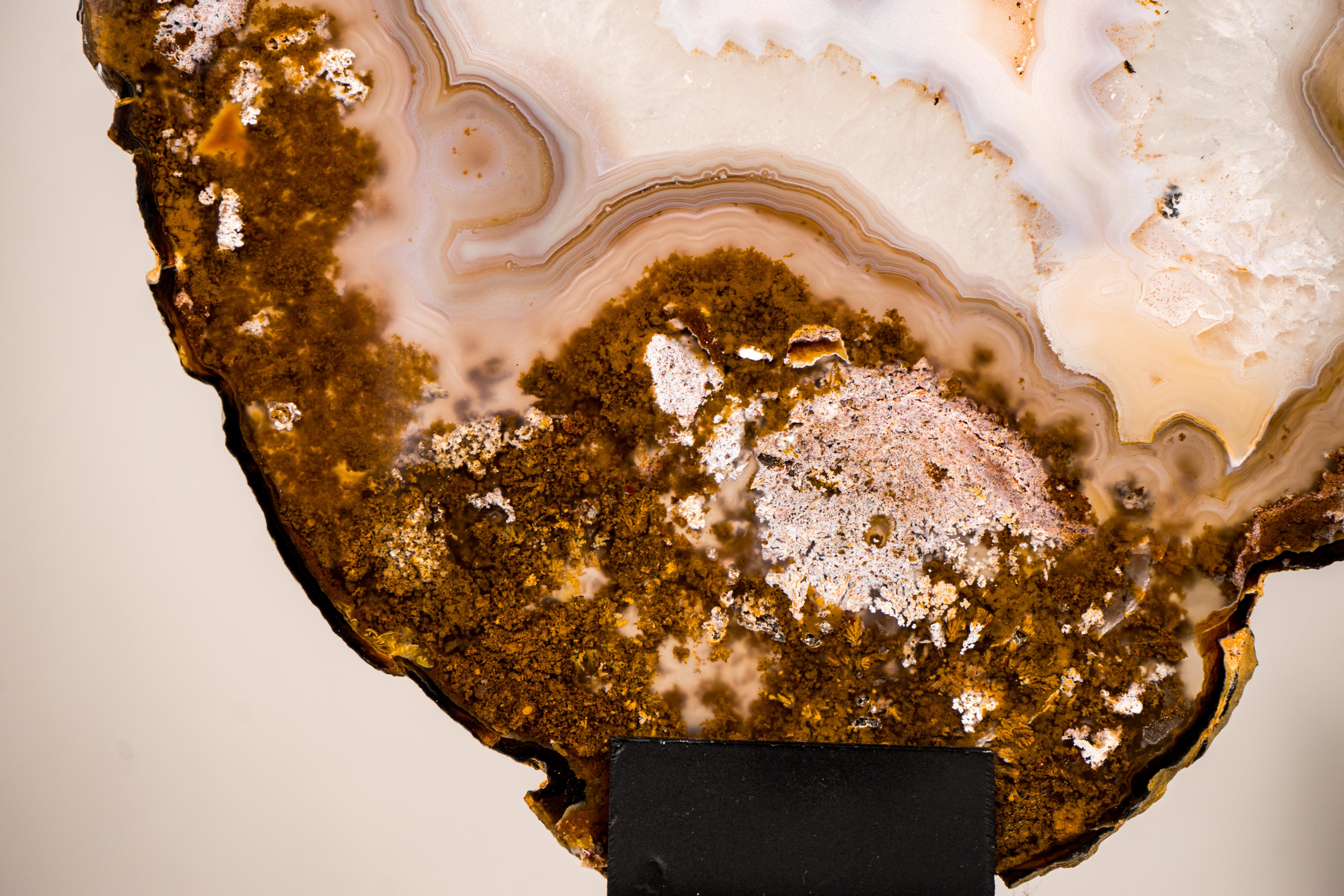 Rare Natural Lace Agate Slice with Clear Quartz and Moss Agate Drawings For Sale 4