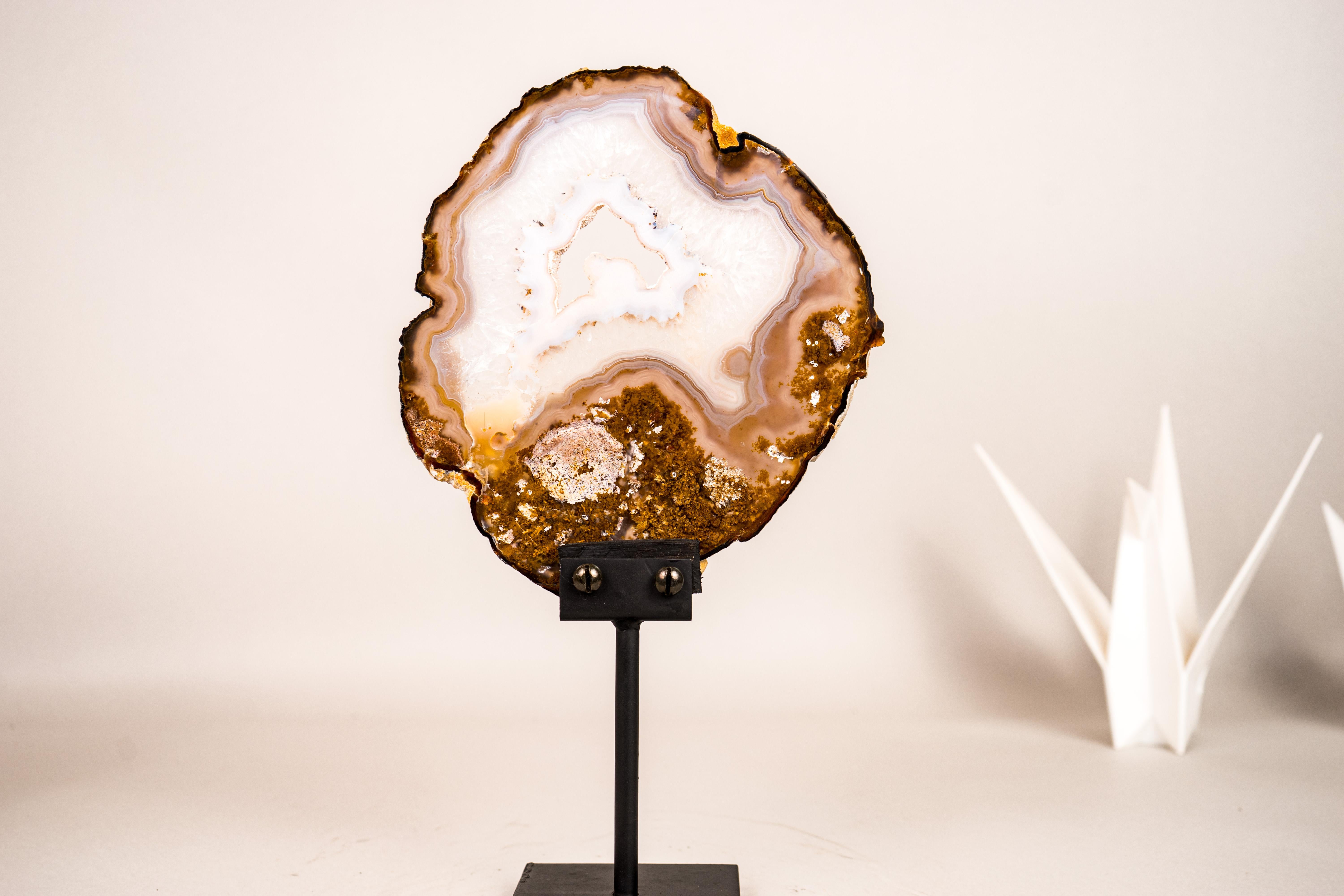 Rare Intact Moss and Lace Agate Slice with Crystallized Center, On Display

▫️ Description

Delicate, aesthetic, and intact, this agate slice deserves a spot in any gallery or collection. It’s a Soledade agate that brings together a rare combination