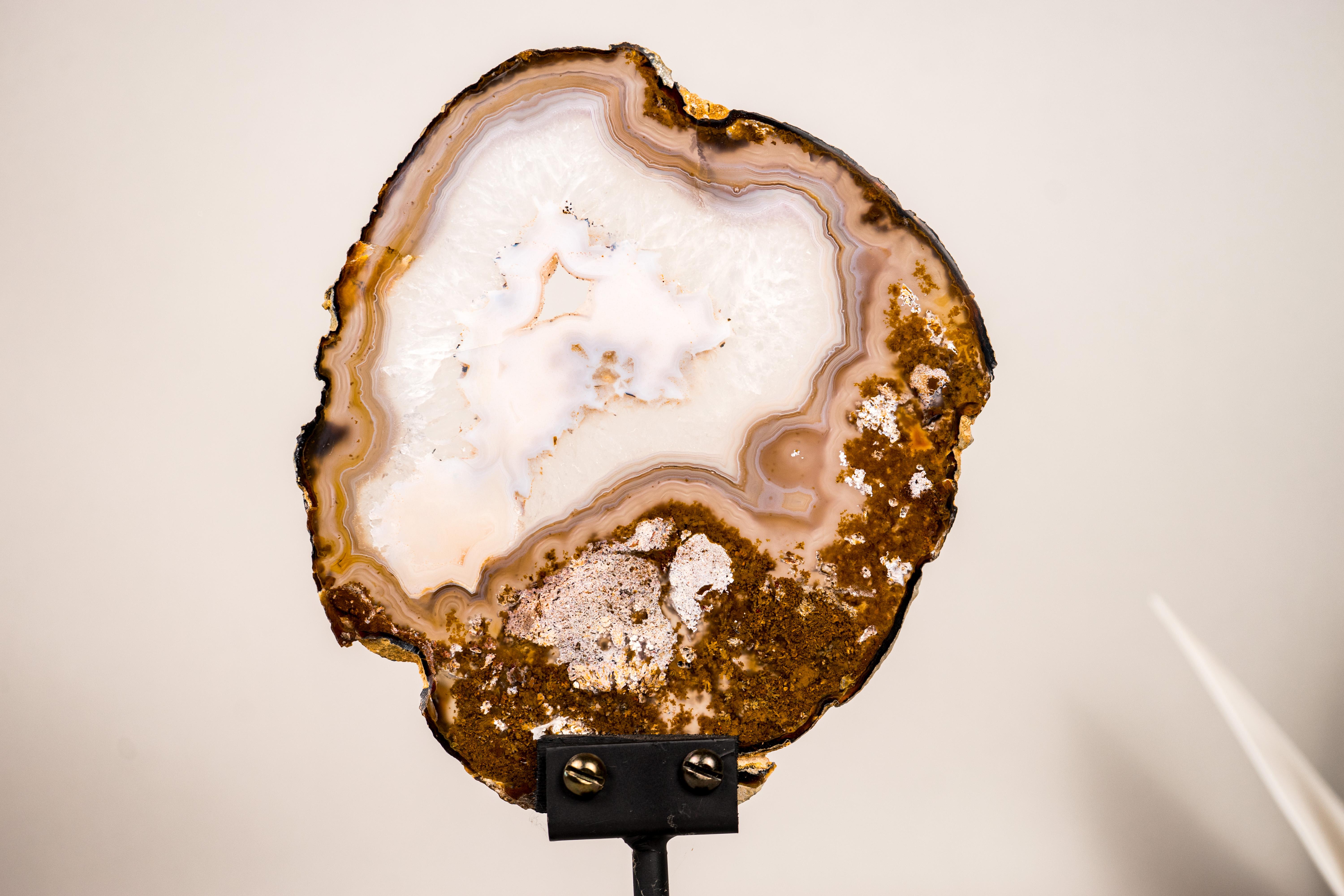 Rare Intact Moss and Lace Agate Slice with Crystallized Center, On Display

▫️ Description

Delicate, aesthetic, and intact, this agate slice deserves a spot in any gallery or collection. It’s a Soledade agate that brings together a rare combination