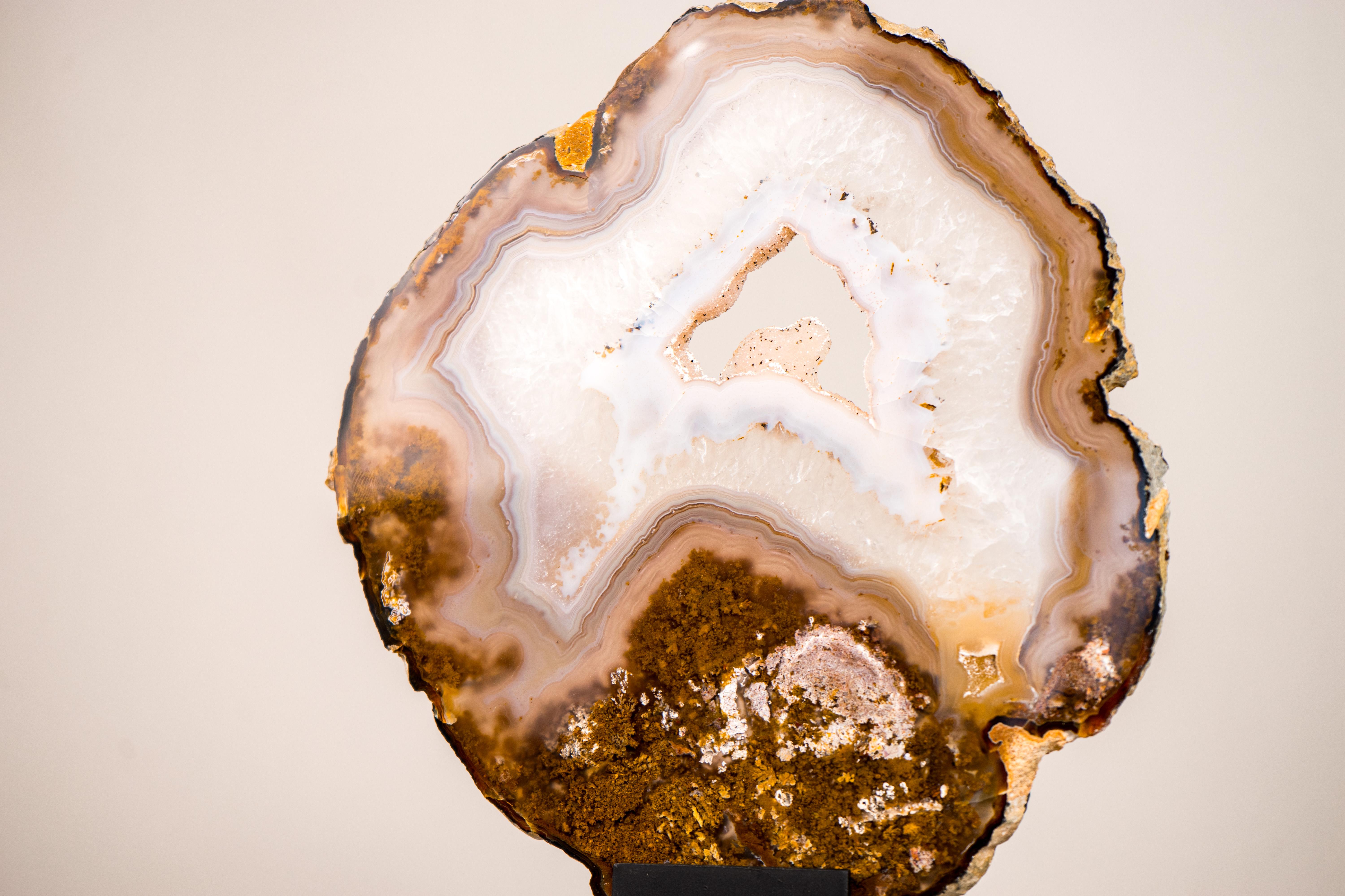 Rare Natural Lace Agate Slice with Clear Quartz and Moss Agate Drawings In New Condition For Sale In Ametista Do Sul, BR