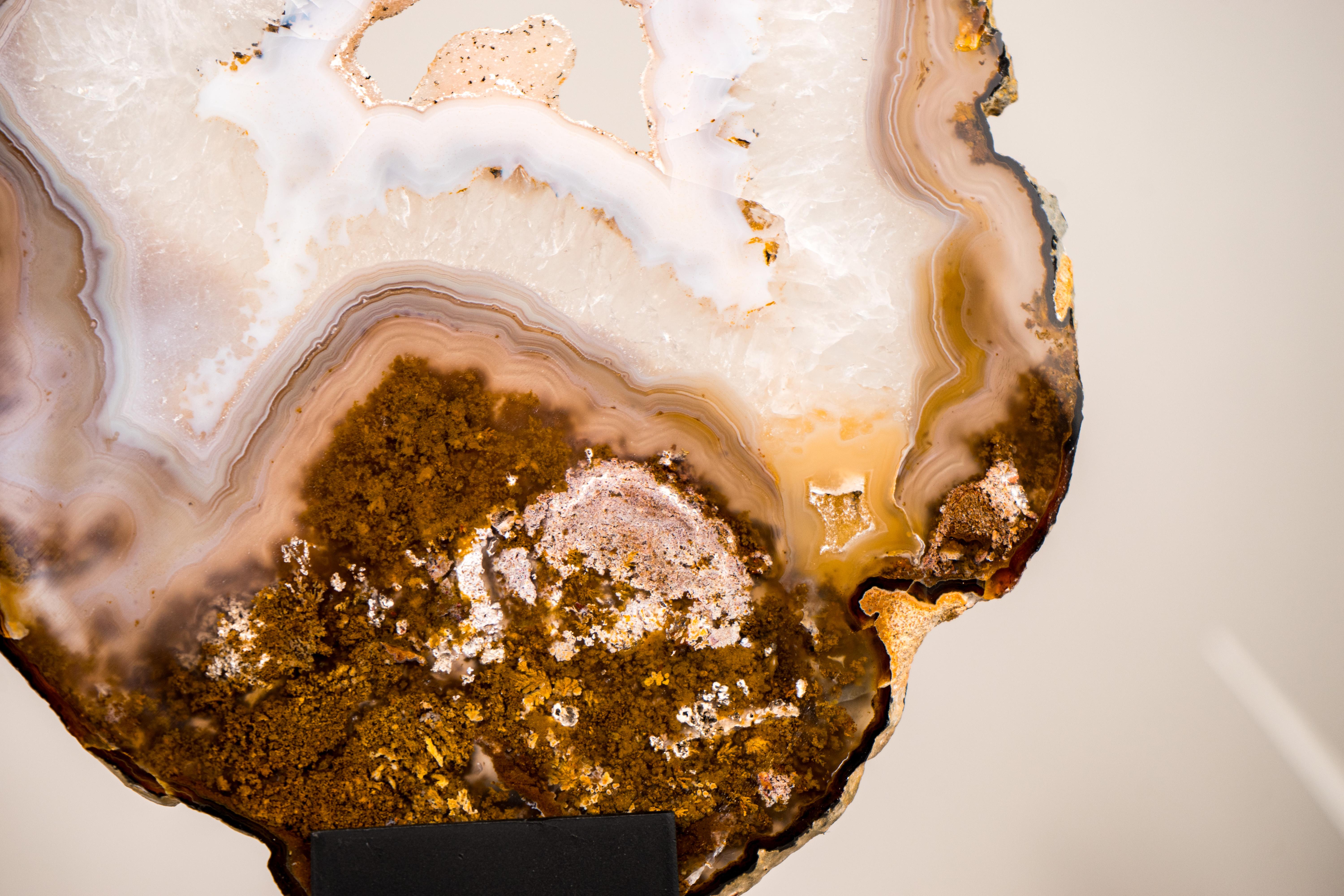 Contemporary Rare Natural Lace Agate Slice with Clear Quartz and Moss Agate Drawings For Sale