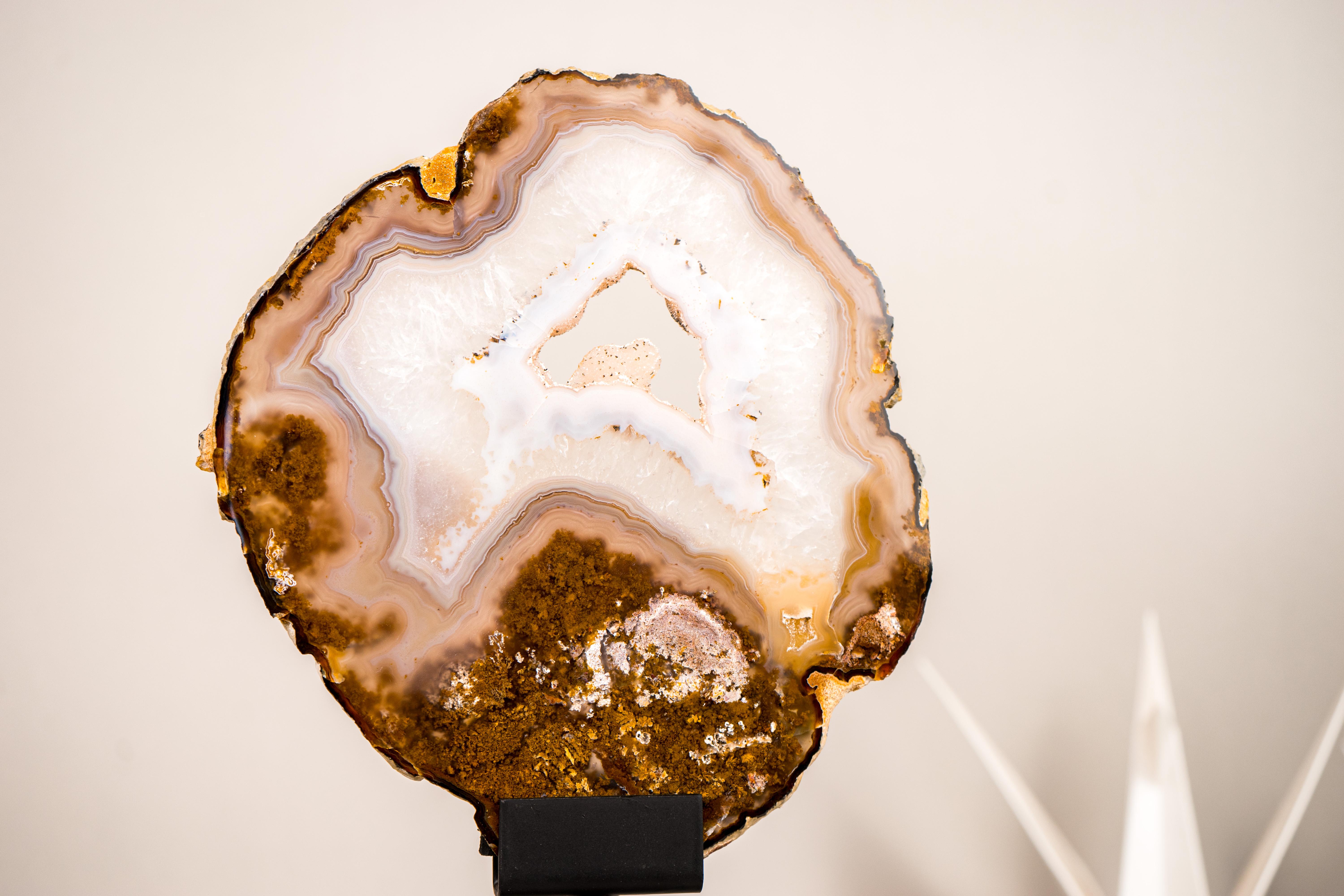 Crystal Rare Natural Lace Agate Slice with Clear Quartz and Moss Agate Drawings For Sale