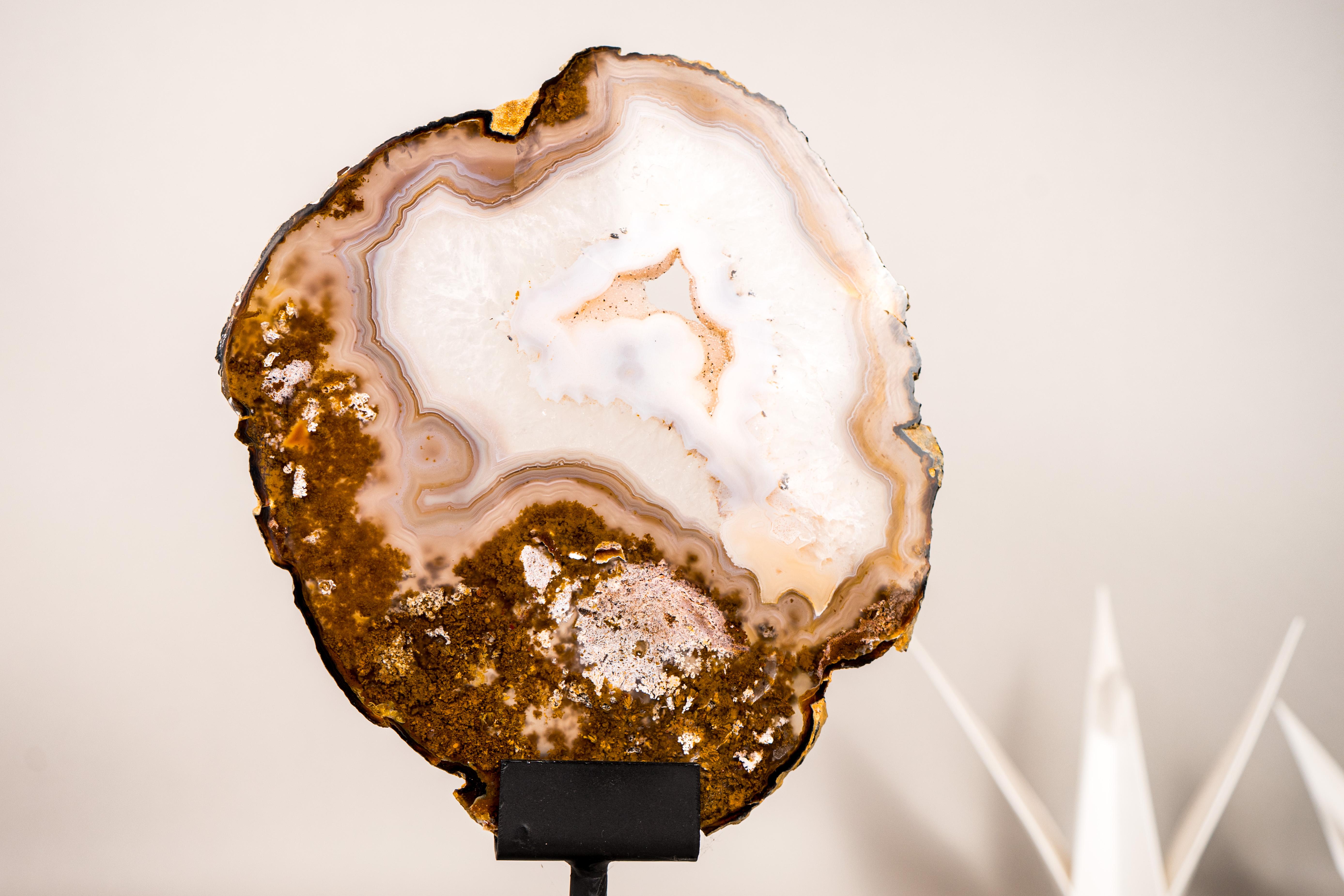 Crystal Rare Natural Lace Agate Slice with Clear Quartz and Moss Agate Drawings For Sale