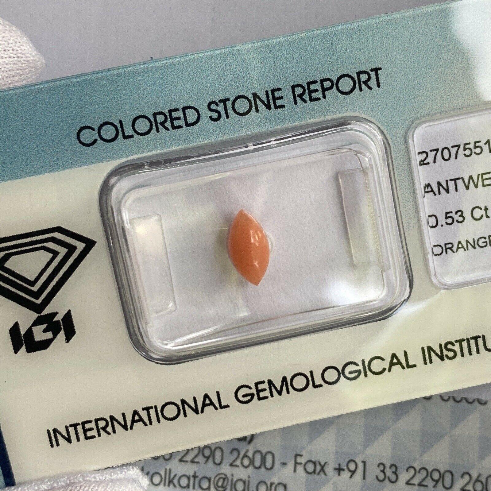 Women's or Men's Rare Natural Orange Pink Untreated Coral 0.53ct Marquise Cabochon IGI Certified For Sale