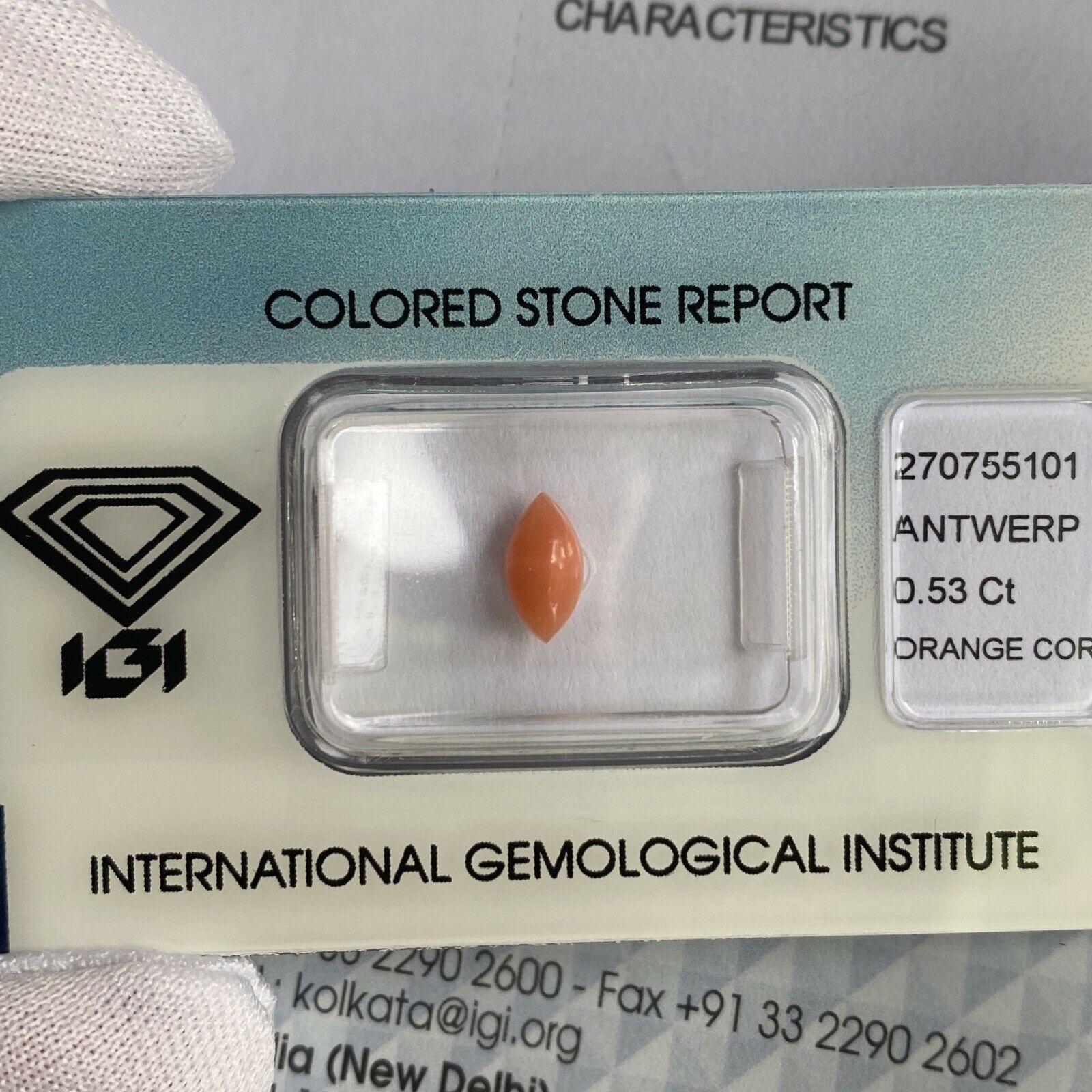 Rare Natural Orange Pink Untreated Coral 0.53ct Marquise Cabochon IGI Certified For Sale 1
