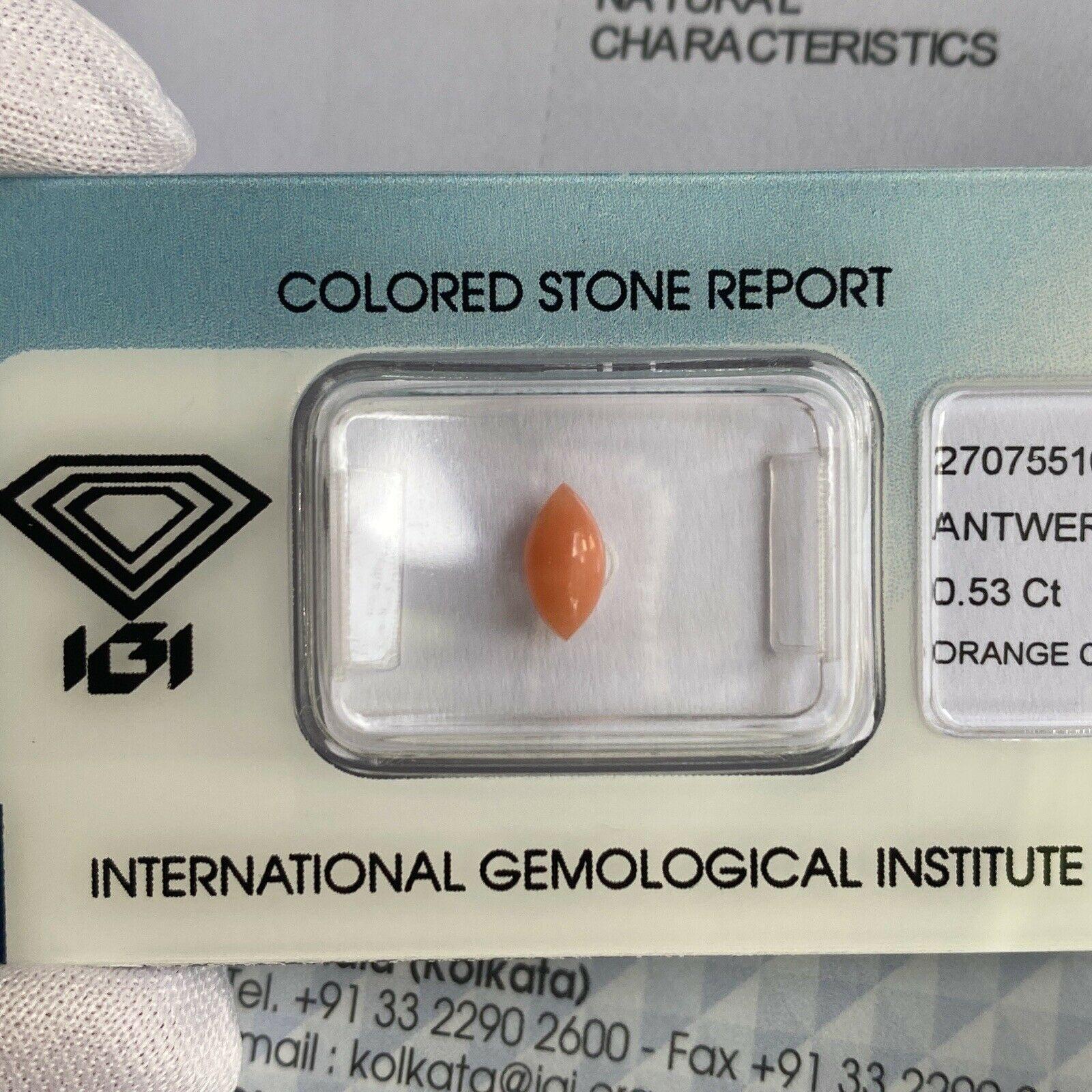 Rare Natural Orange Pink Untreated Coral 0.53ct Marquise Cabochon IGI Certified For Sale 2