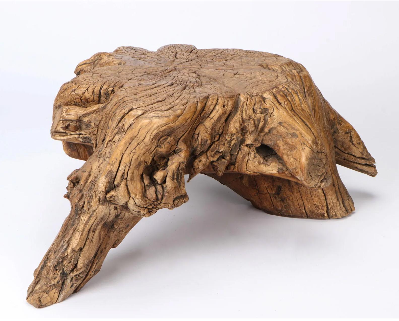 Chinese Rare Natural Root Wood Table / Stool, China, 18th Century Primitive