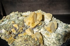 Rare Natural Sugar Amethyst Cluster Plate