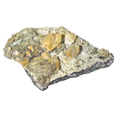 Rare Natural Sugar Amethyst Cluster Plate