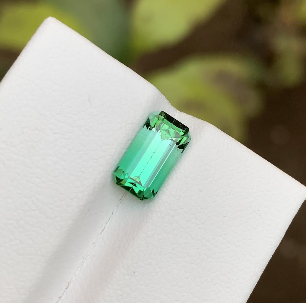 GEMSTONE TYPE: Tourmaline
PIECE(S): 1
WEIGHT: 2.25 Carats
SHAPE: Step Emerald
SIZE (MM):  9.84 x 5.37 x 5.02
COLOR: Neon Bluish Green Bicolor
CLARITY: Approx 95% Eye Clean
TREATMENT: None
ORIGIN: Afghanistan
CERTIFICATE: On demand

This dazzling