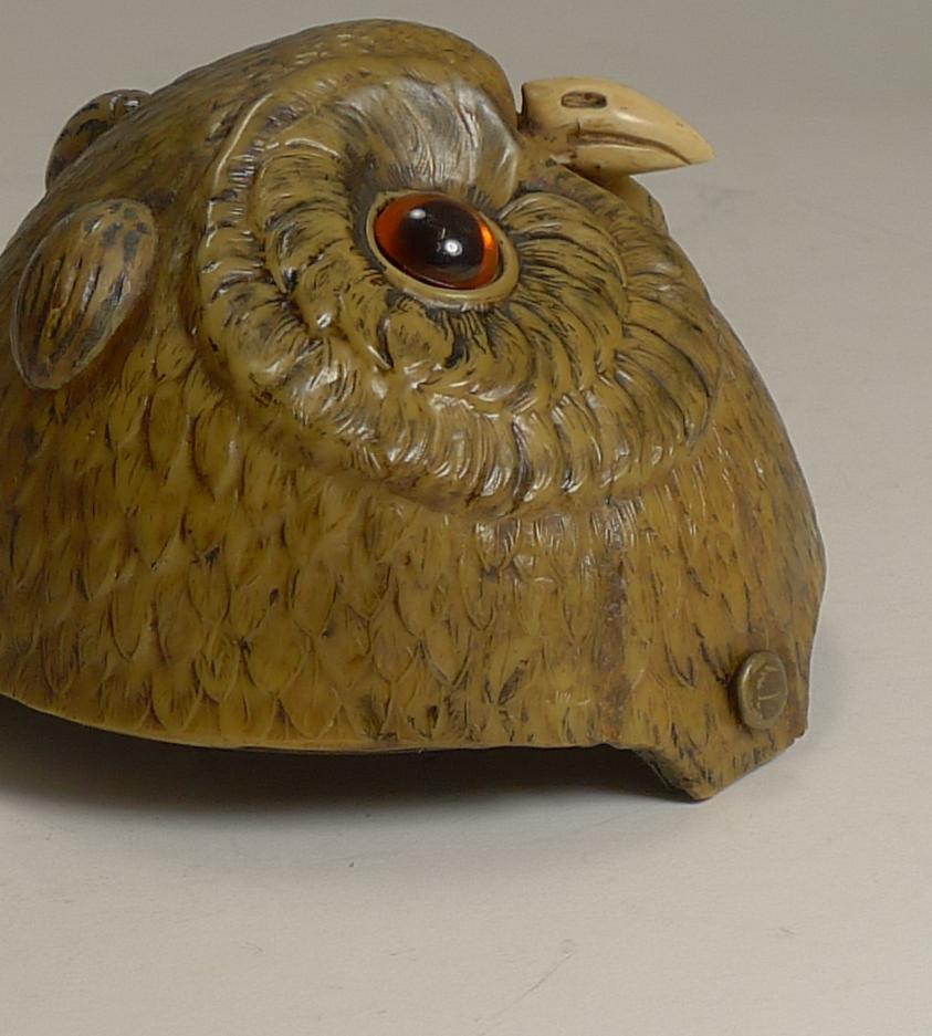Rare Novelty / Figural Mechanical Bell in Early Celluloid, circa 1900, Owl 2