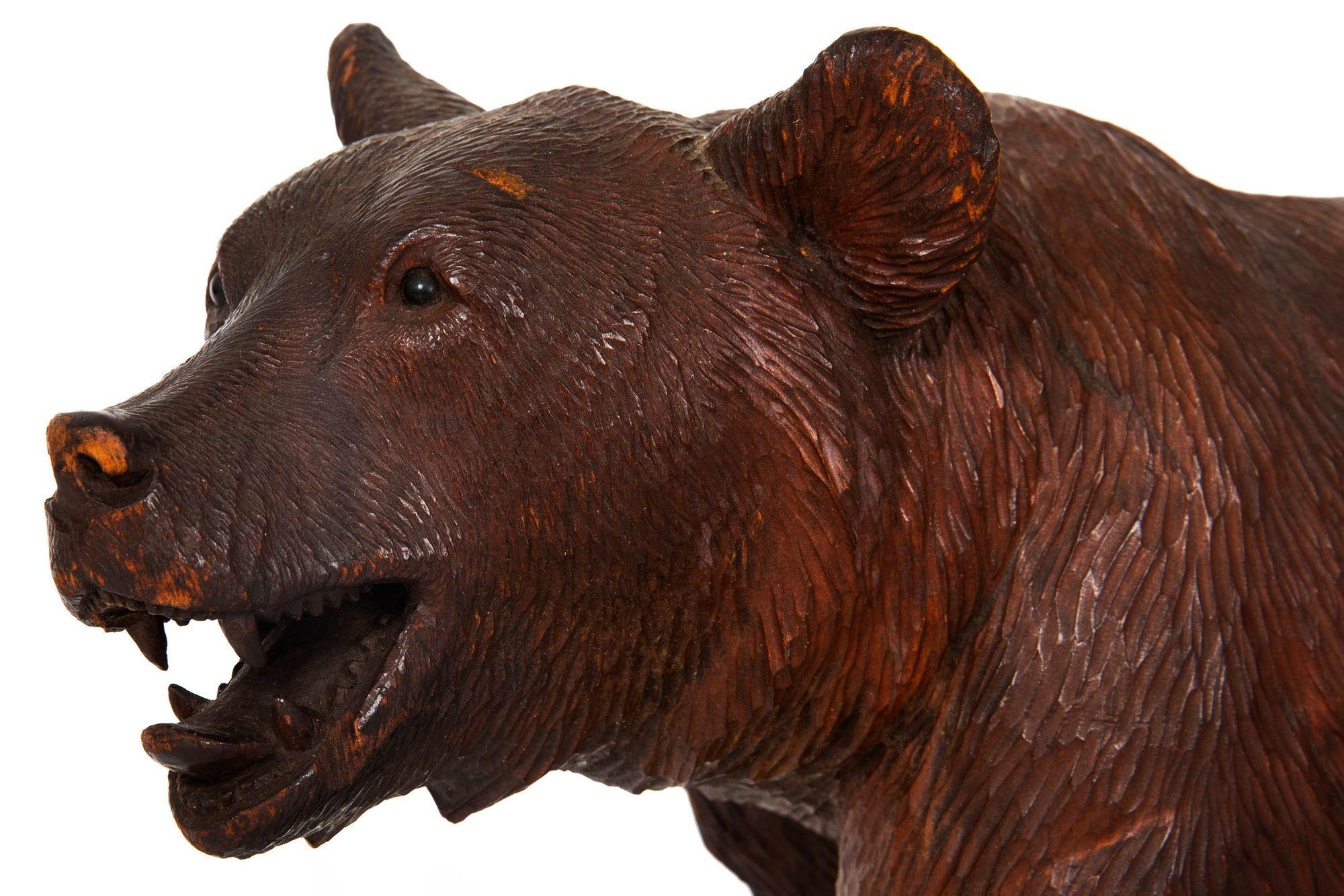 Rare Original Antique Swiss Carved Black Forest “Walking Bear” ca. 1920 For Sale 13