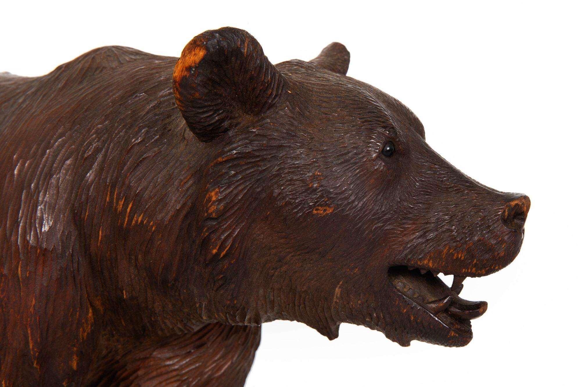 Rare Original Antique Swiss Carved Black Forest “Walking Bear” ca. 1920 For Sale 3
