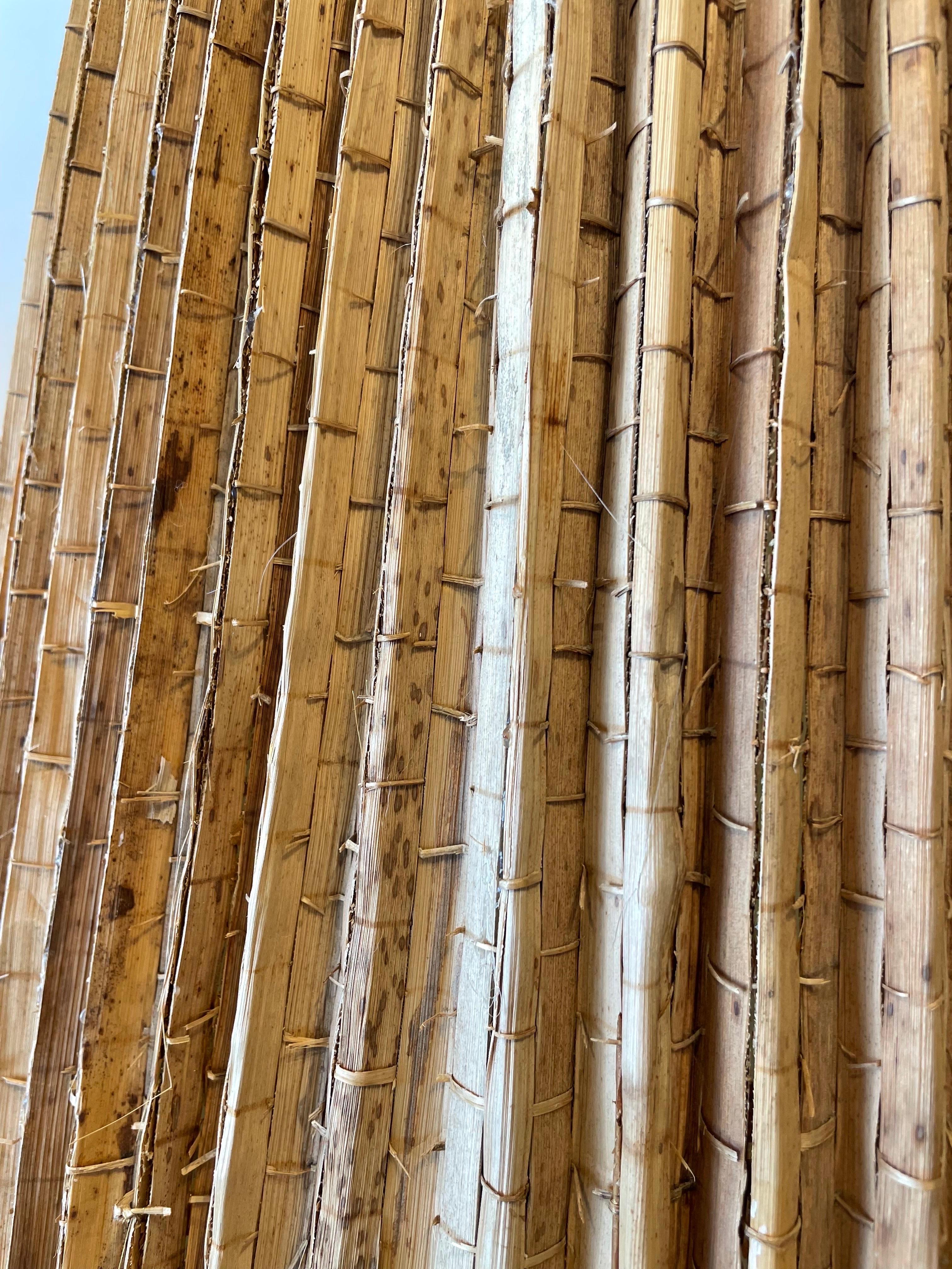 Mid-20th Century Rare Oversized Ginger Jar Lamps w/ Palm Leaf Shades