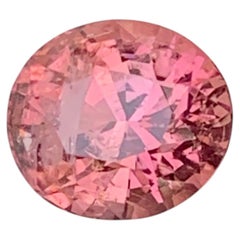 Seltener ovaler Turmalin in Padparadscha-Farbe als Edelstein für Ring- und Anhänger-Schmuck