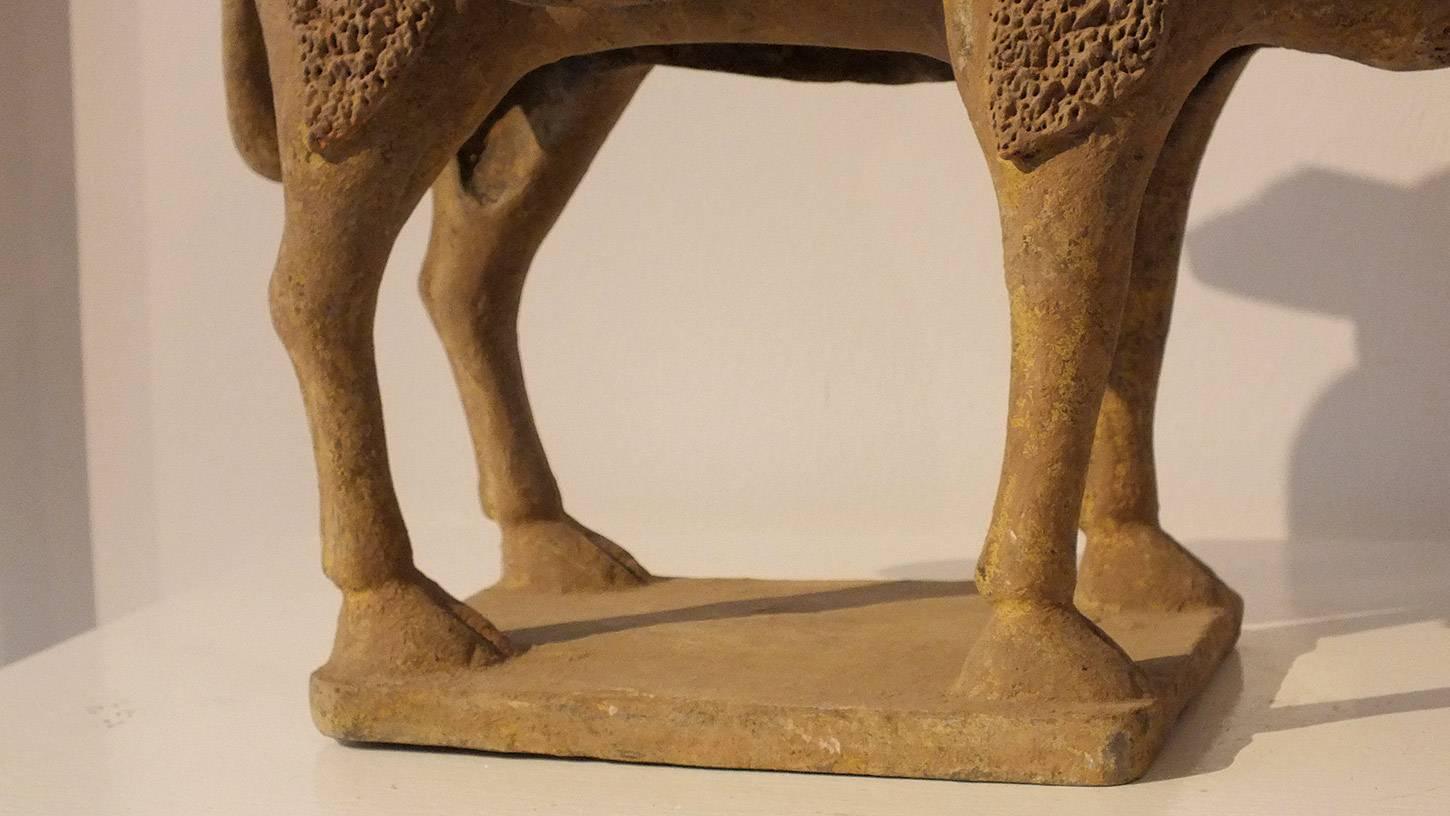 18th Century and Earlier Rare Painted Gary Pottery Figure of a Bactrian Camel