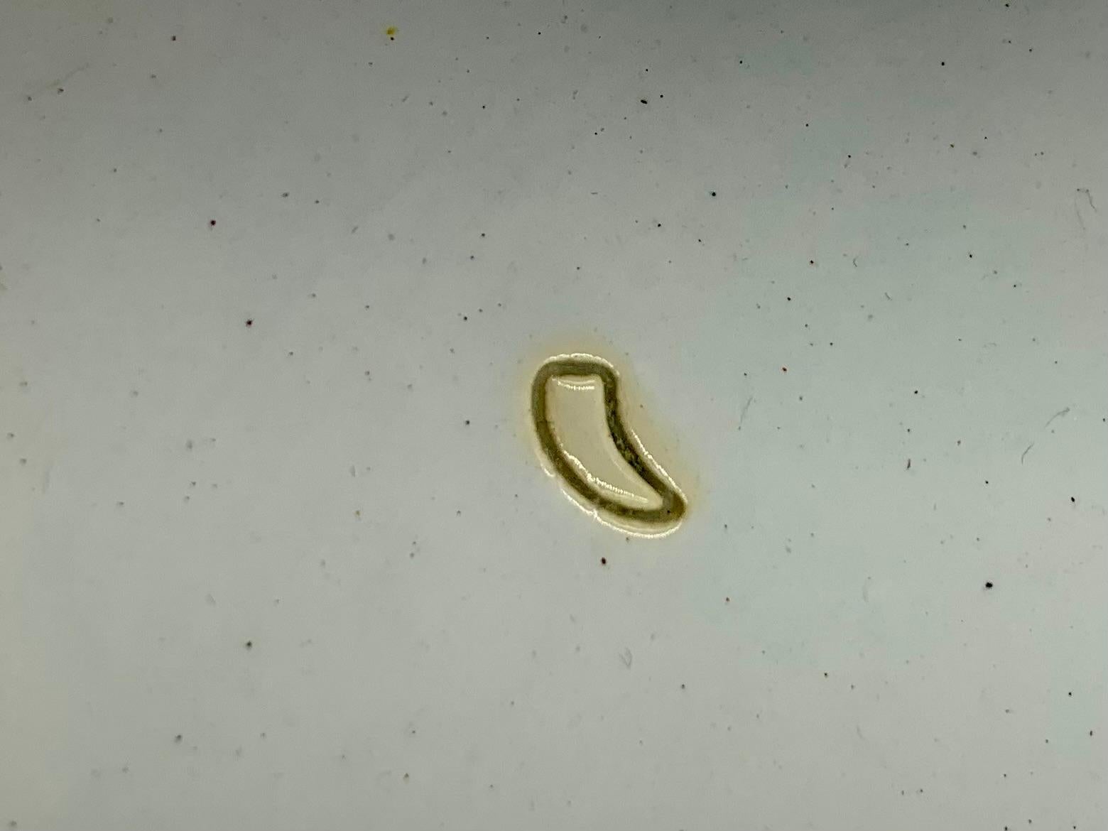 Rare paire d'assiettes à dîner en grès Mason's Ironstone Chinoiserie en vente 9