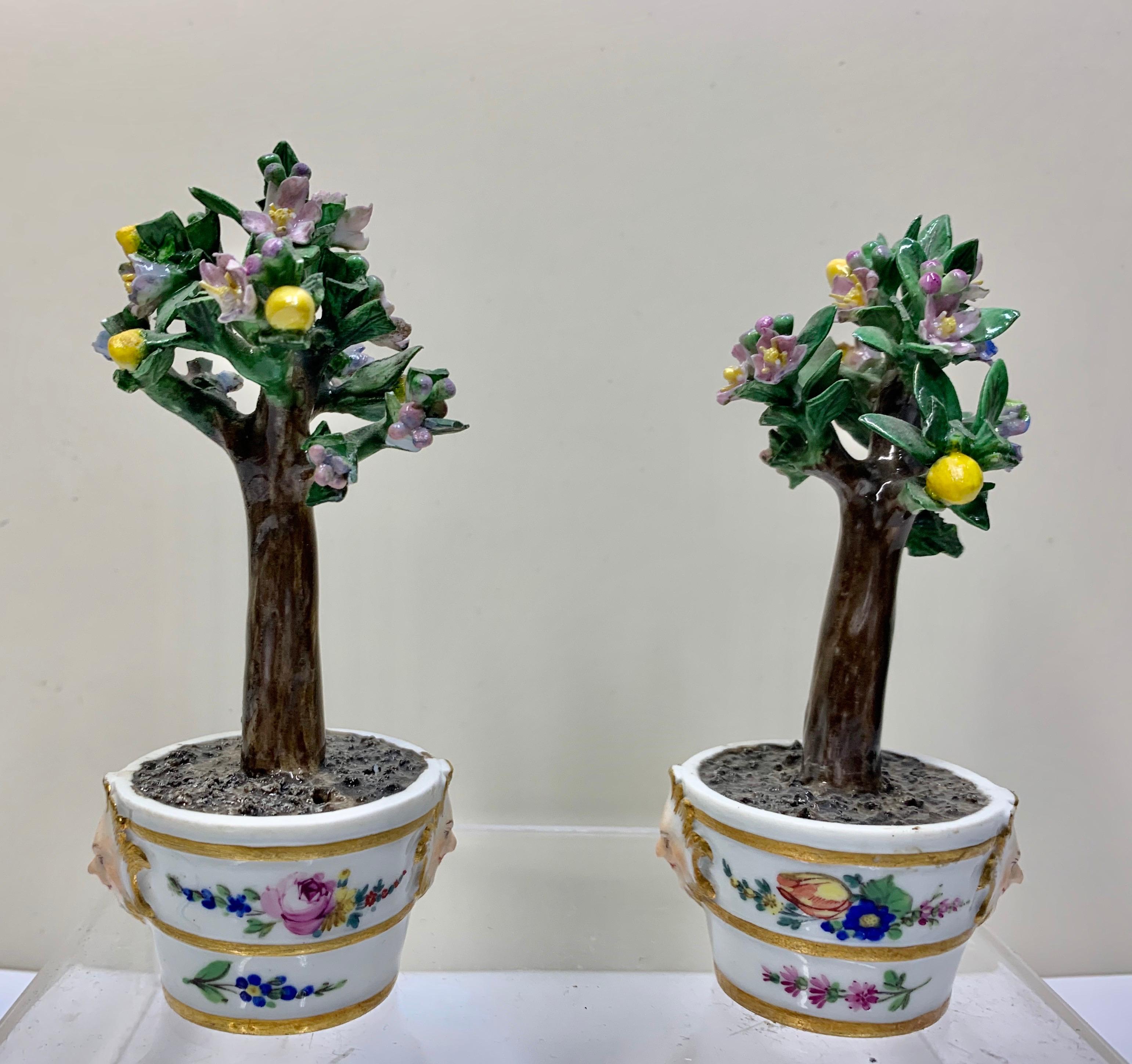 Superbe paire d'arbres à citron Marcolini de Meissen assortis dans des bacs vers 1790.
Modèles de pots de fleurs en porcelaine de Meissen de très bonne qualité, modelés comme des bacs cylindriques rehaussés de dorure avec 2 masques mythologiques