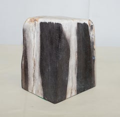 Rare Pair of 180 Million Year Old Pretrified Fossil Wood Bookends Door Stops
