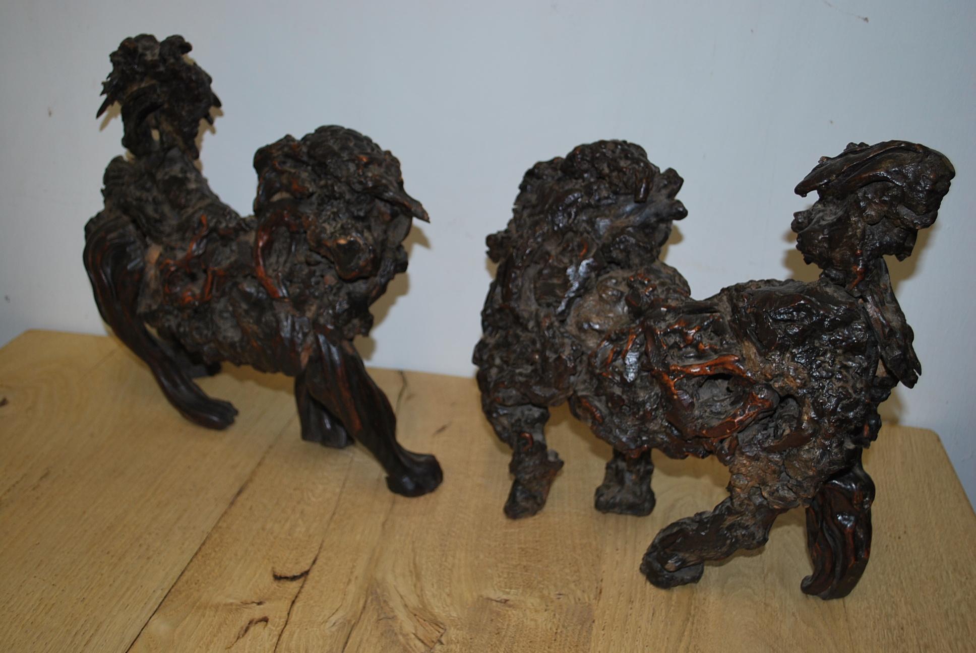 Elm Rare pair of 18th century Antique Chinese Root Wood Foo Dogs For Sale