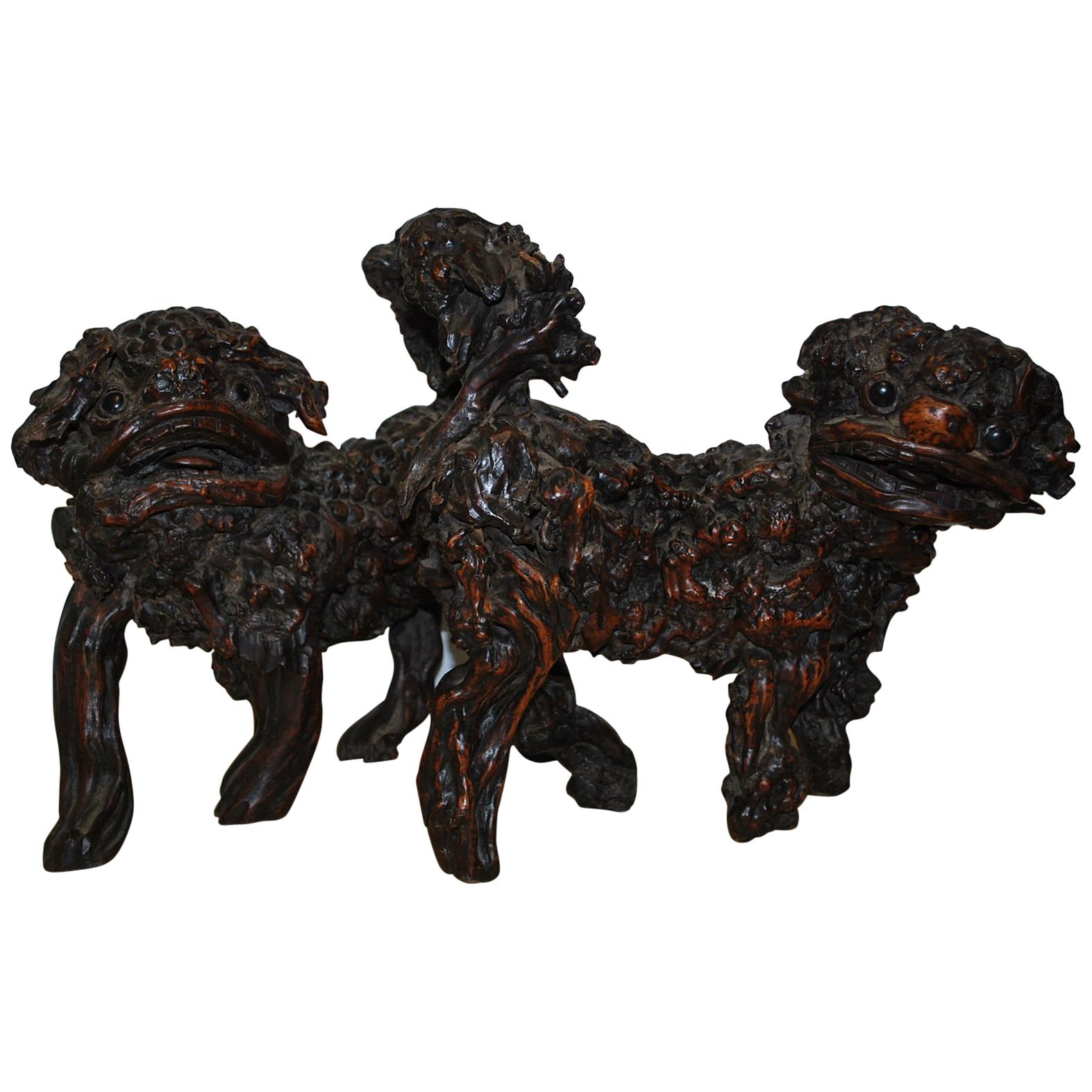 Rare pair of 18th century Antique Chinese Root Wood Foo Dogs For Sale