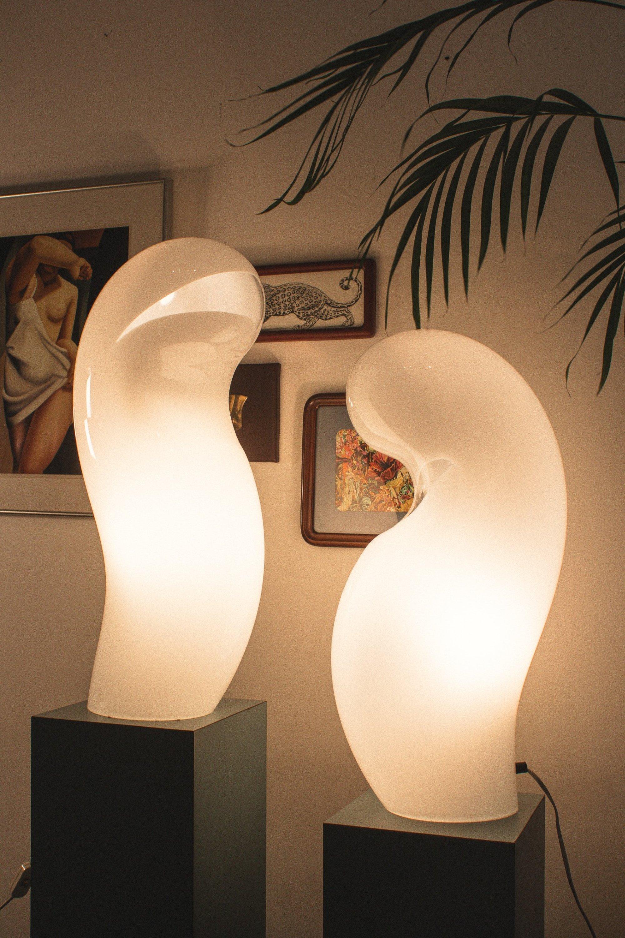 Mid-Century Modern Rare paire de lampes 