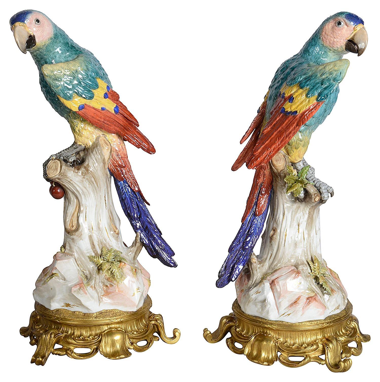 Rare pair of 19th Century, ormolu mounted Meissen Parrots. 49cm For Sale 4
