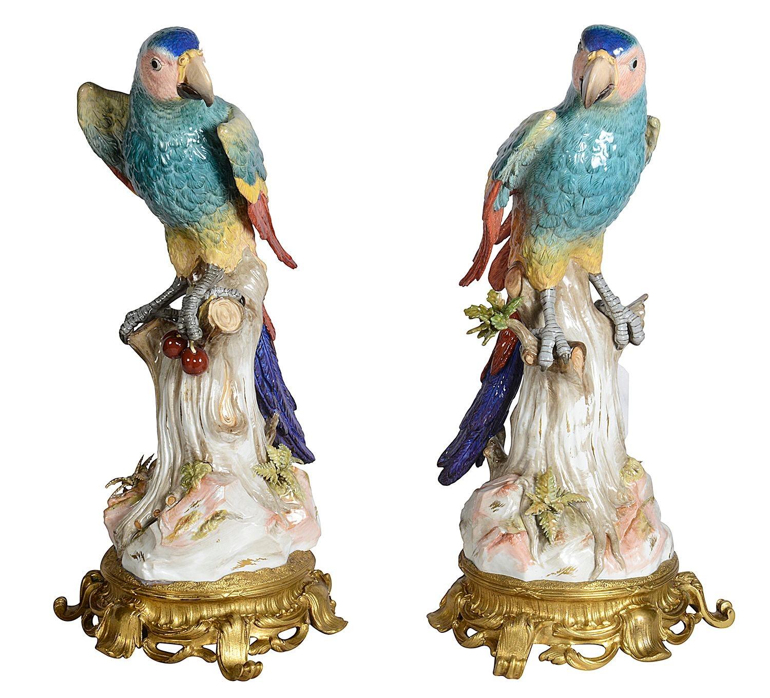 An rare and important pair of 19th Century Meissen porcelain Parrots, each with wonderful bold colouring and detail, perched on tree stumps, one with cherries in its claw, mounted on scrolling foliate Rococo style gilded ormolu bases.
Each with Blue