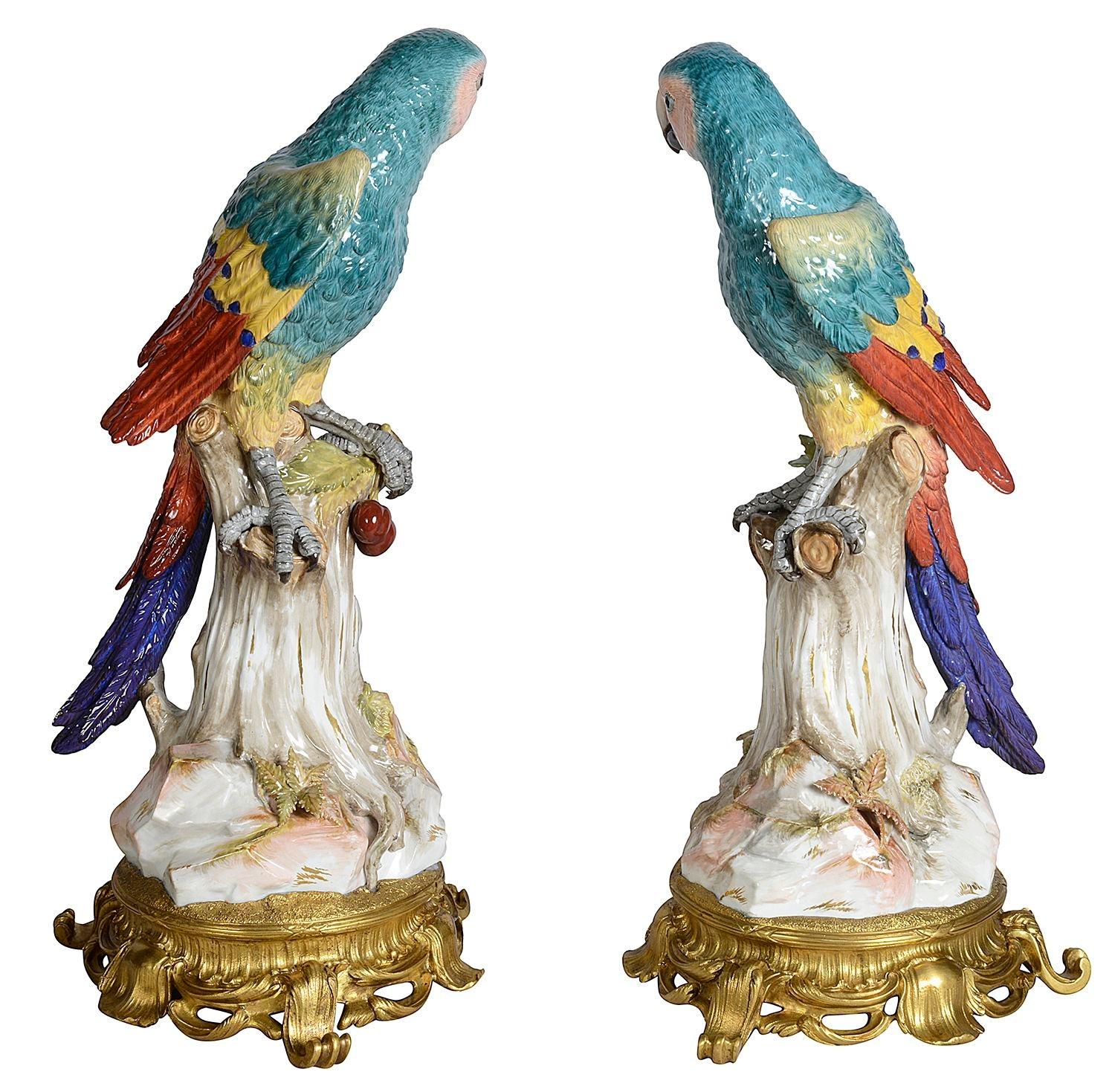 Rare pair of 19th Century, ormolu mounted Meissen Parrots. 49cm For Sale 2