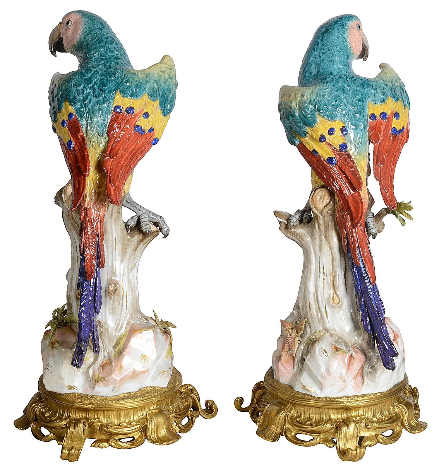 Rare pair of 19th Century, ormolu mounted Meissen Parrots. 49cm For Sale 3