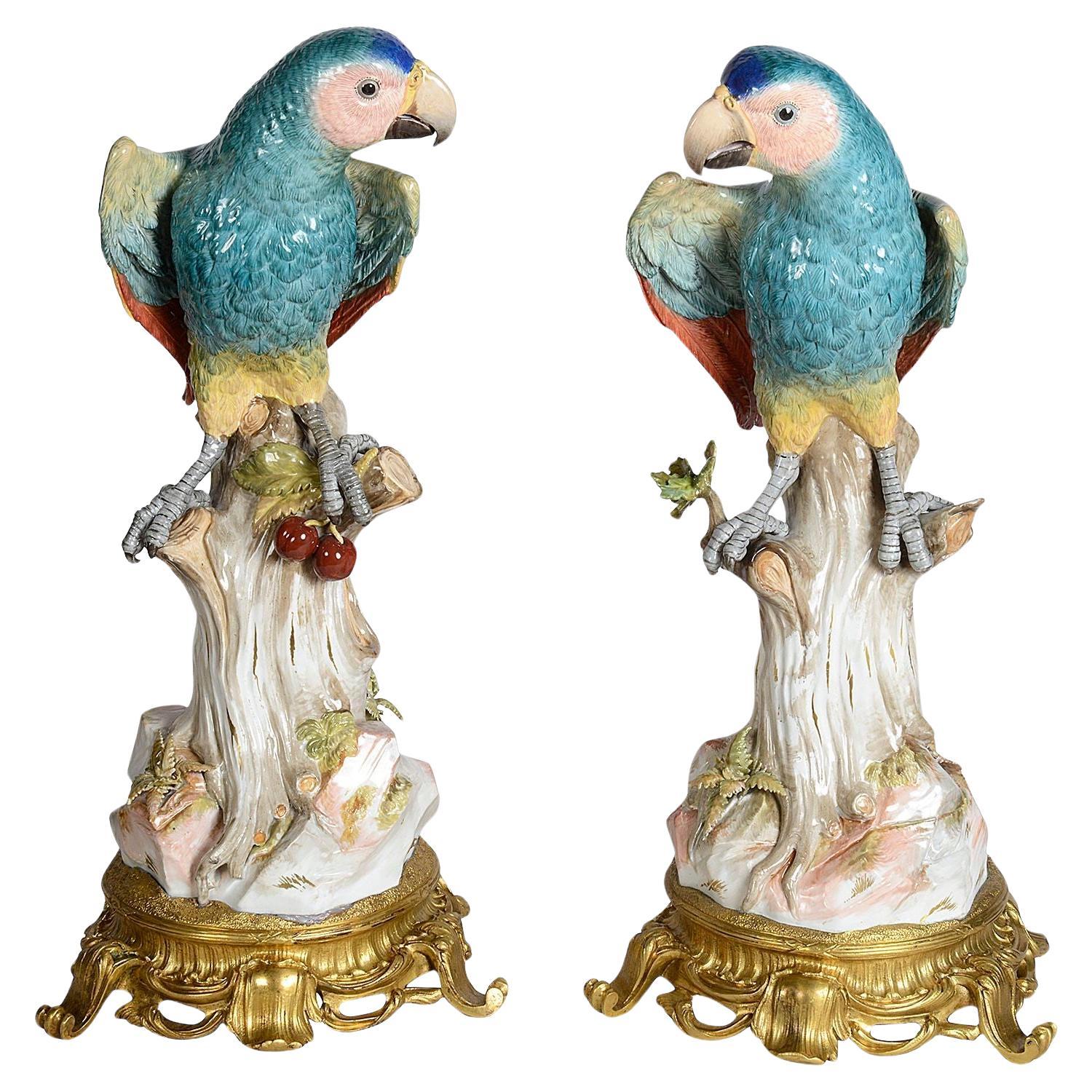 Rare pair of 19th Century, ormolu mounted Meissen Parrots. 49cm For Sale