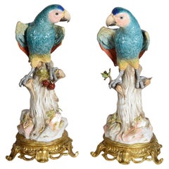 Rare paire de perroquets de Meissen du 19ème siècle, monté en bronze doré, 49 cm