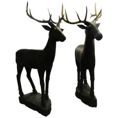 Rare Pair of 20th Century Large Wooden Deer