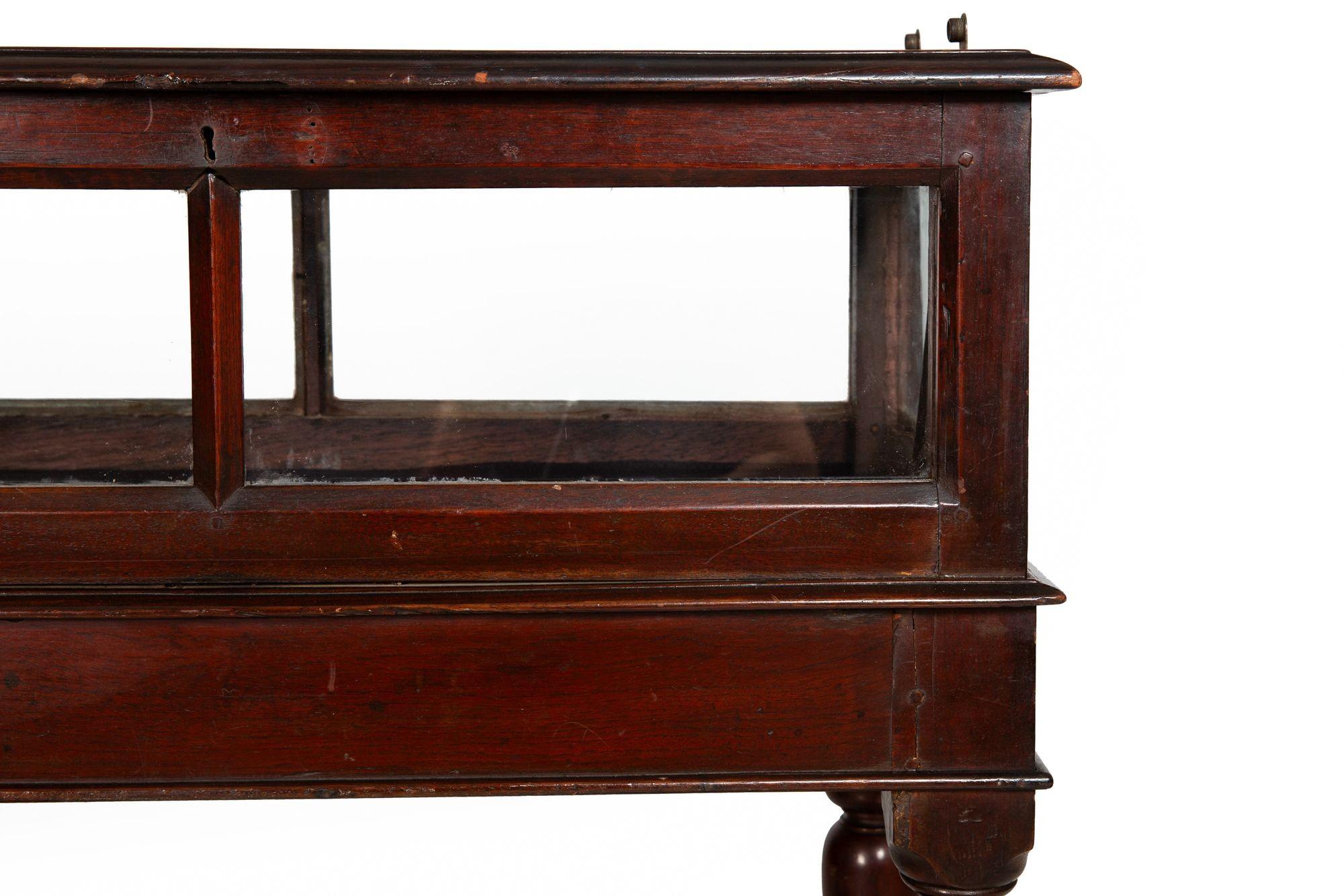 Rare Pair of Anglo-Indian Teak Vitrine Display Tables Cabinets, 19th century For Sale 5