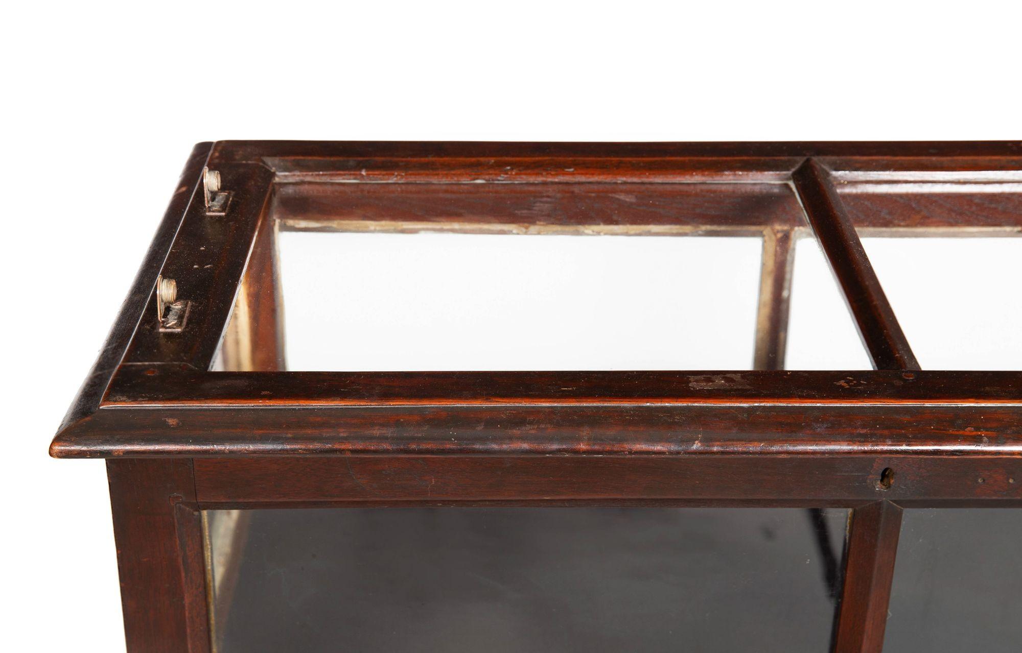 Rare Pair of Anglo-Indian Teak Vitrine Display Tables Cabinets, 19th century For Sale 6