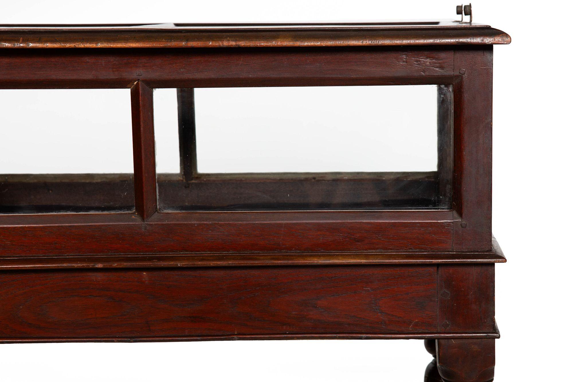 Rare Pair of Anglo-Indian Teak Vitrine Display Tables Cabinets, 19th century For Sale 8
