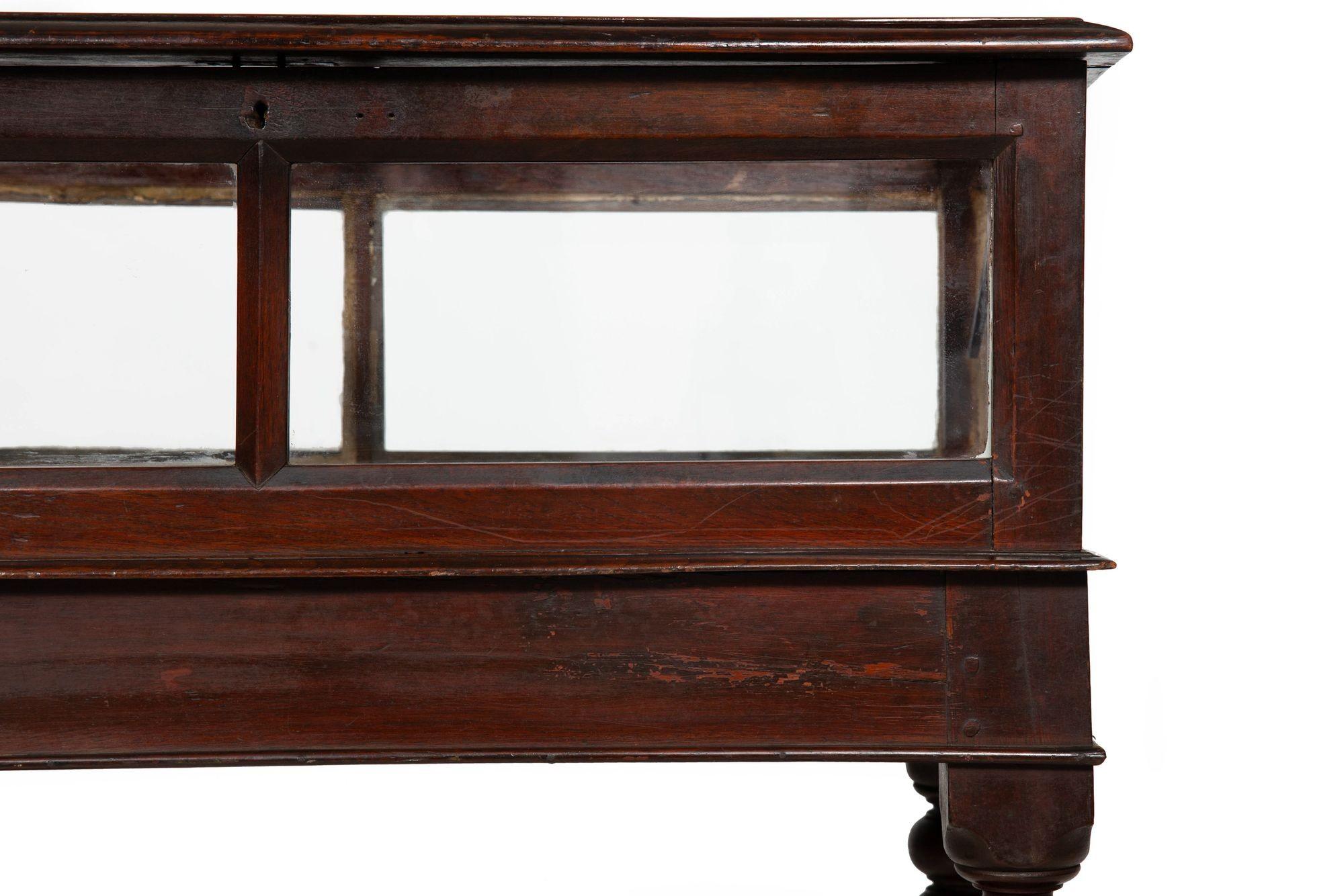 Rare Pair of Anglo-Indian Teak Vitrine Display Tables Cabinets, 19th century For Sale 10