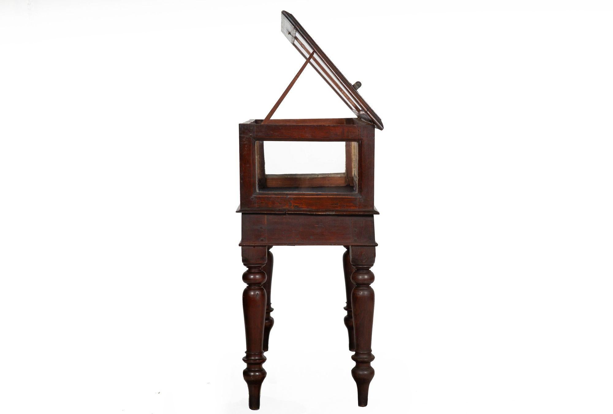 19th Century Rare Pair of Anglo-Indian Teak Vitrine Display Tables Cabinets, 19th century For Sale